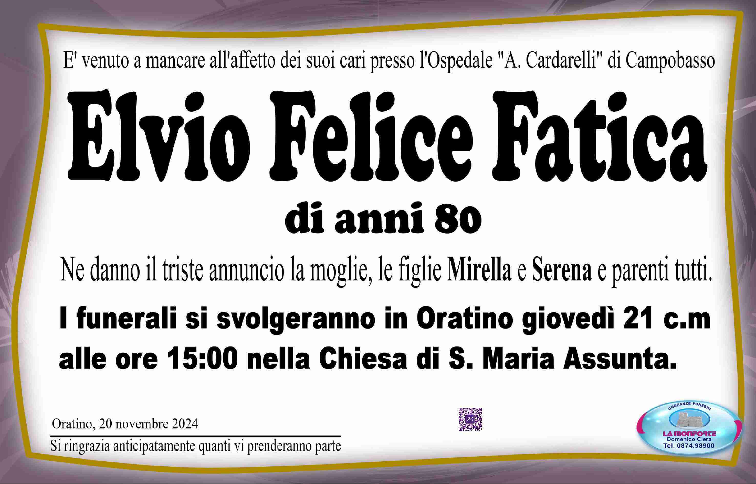 Elvio Felice Fatica