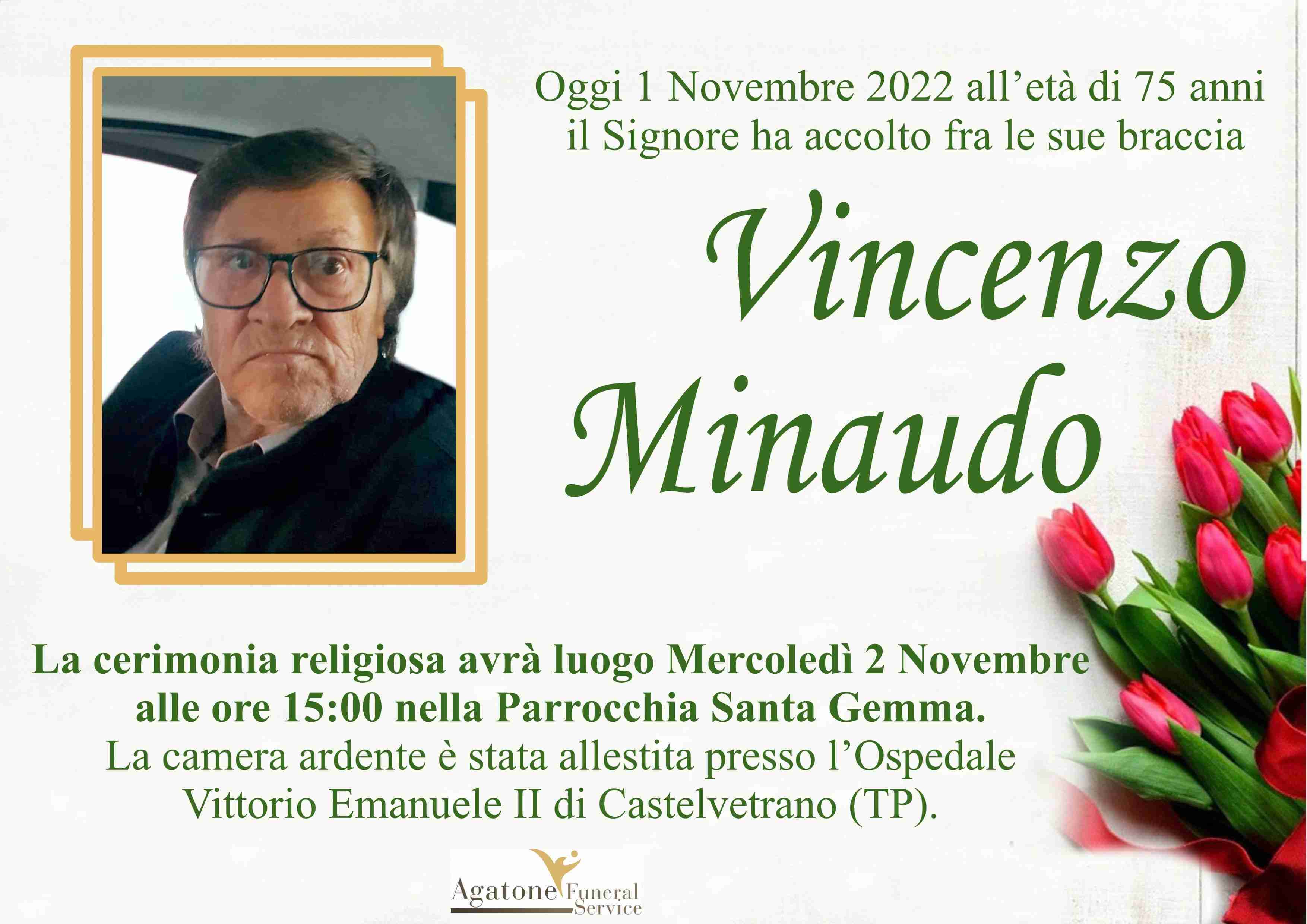 Vincenzo Minaudo