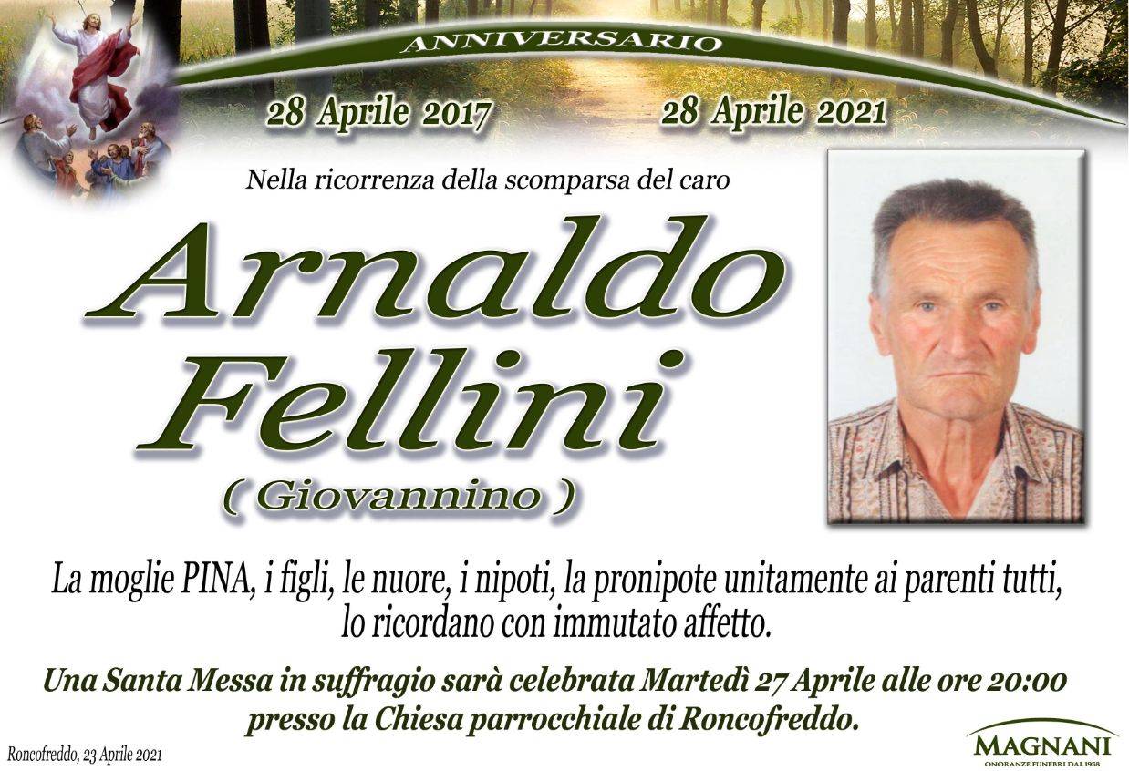 Arnaldo Fellini