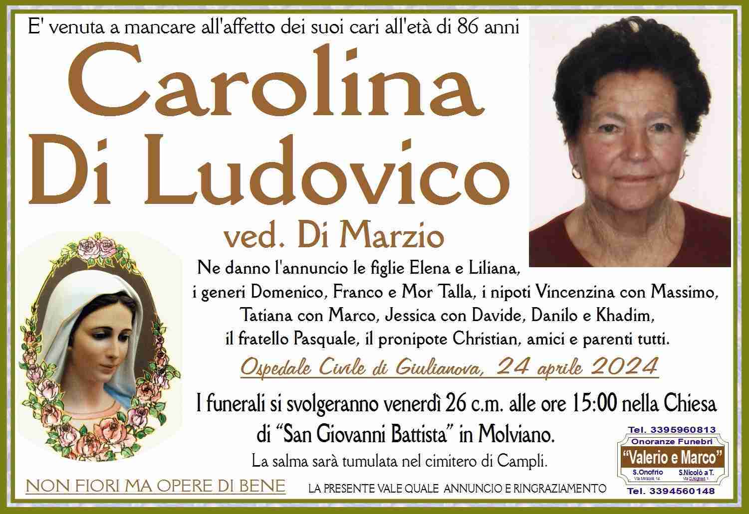 Carolina Di Ludovico