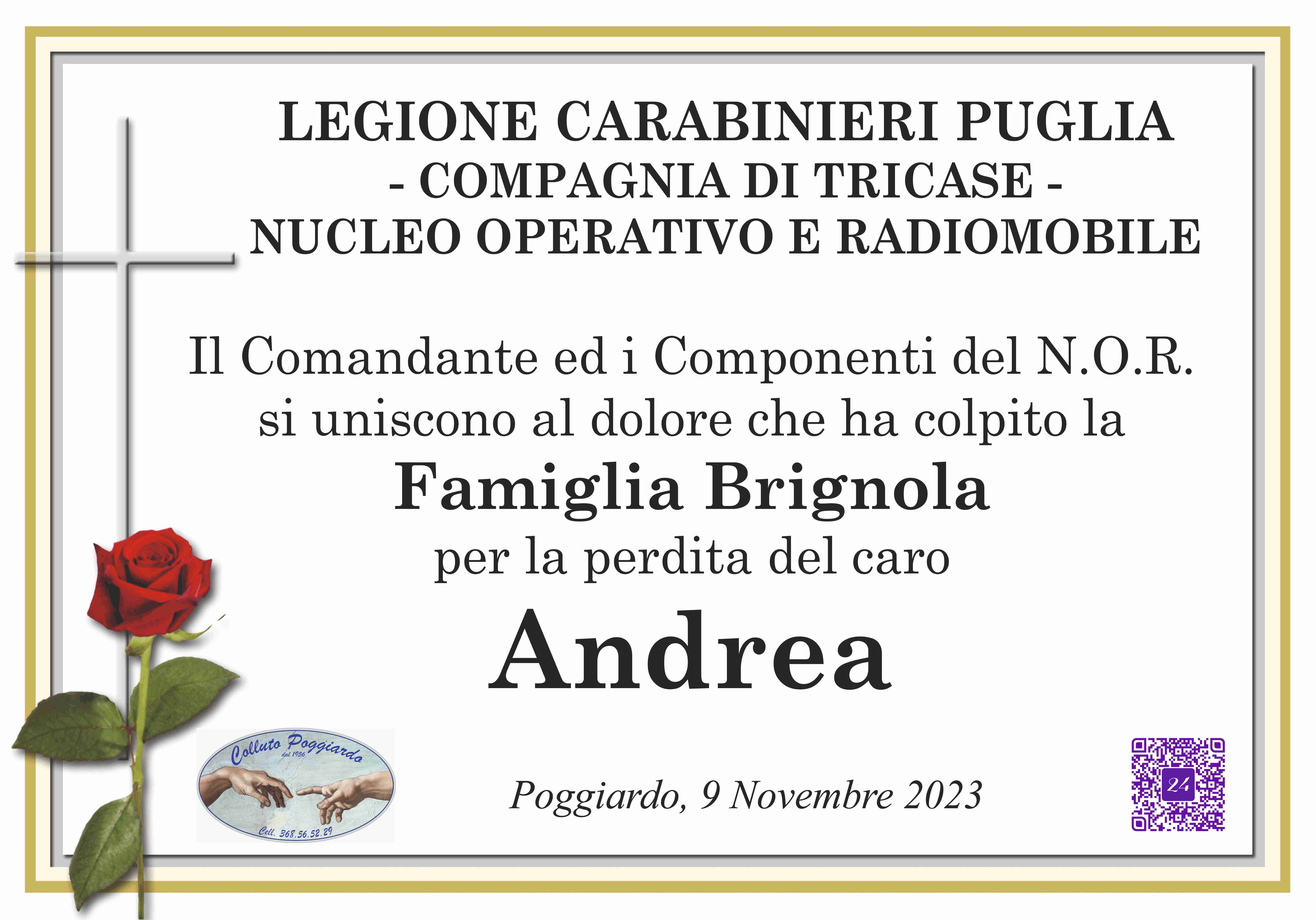 Andrea Brignola