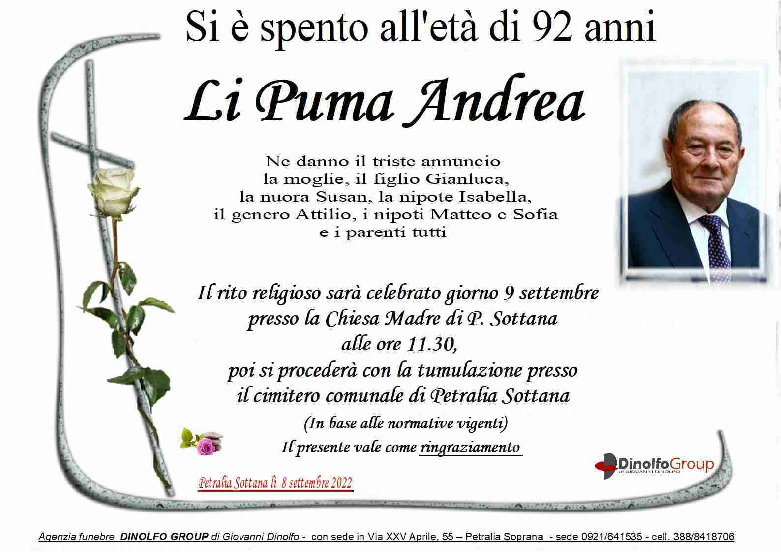 Andrea Li Puma