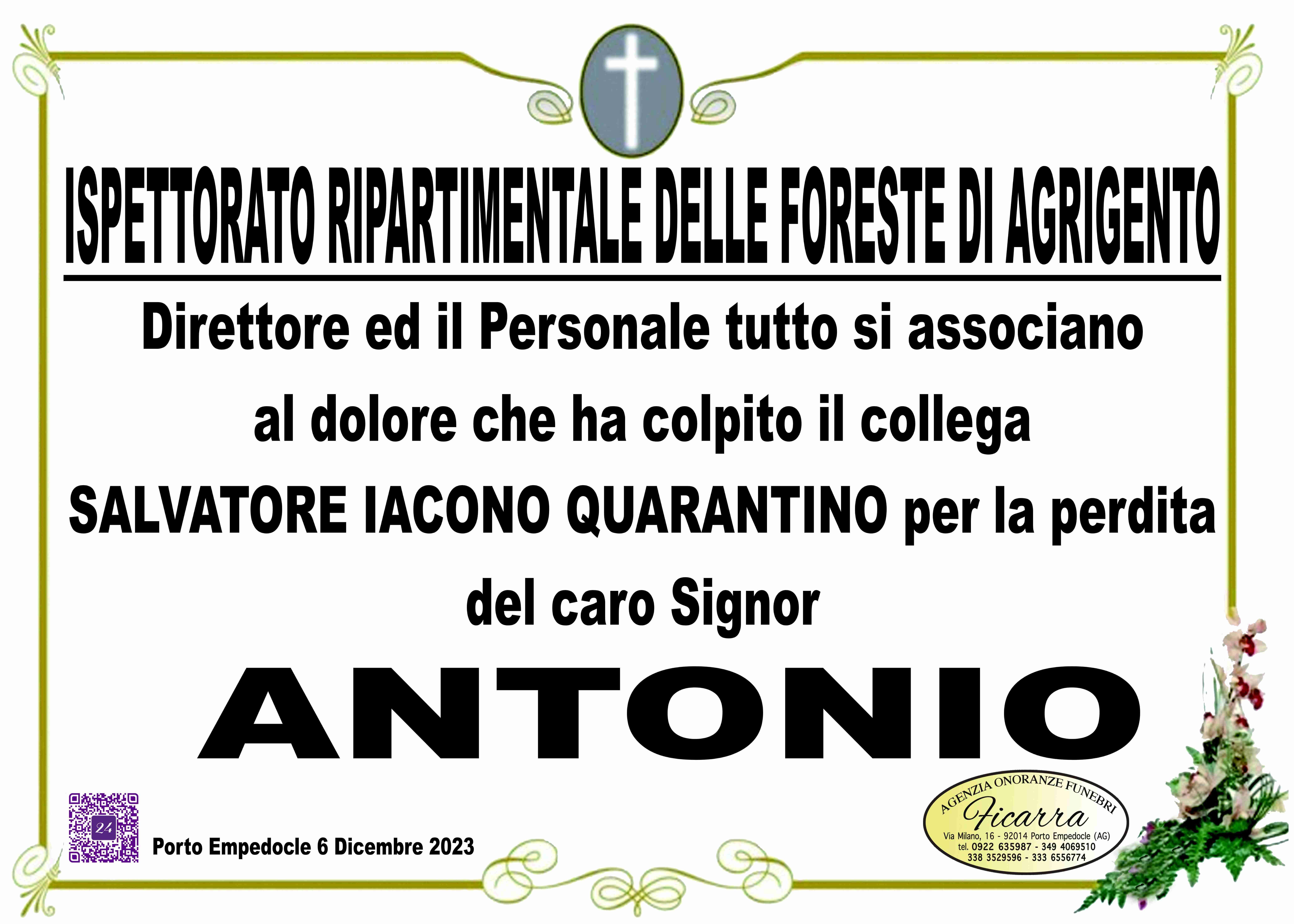 Antonio Iacono Quarantino