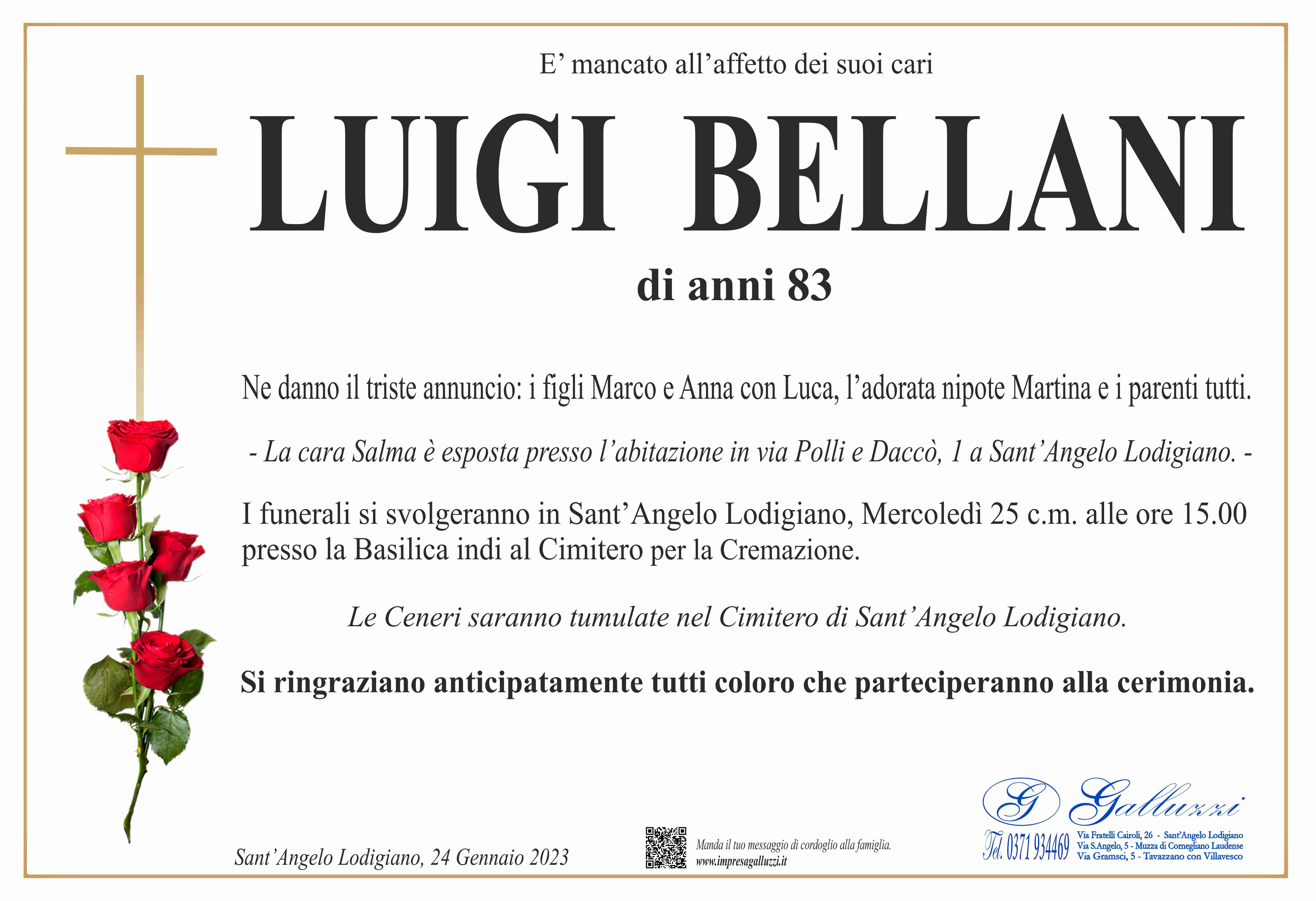 Luigi Bellani