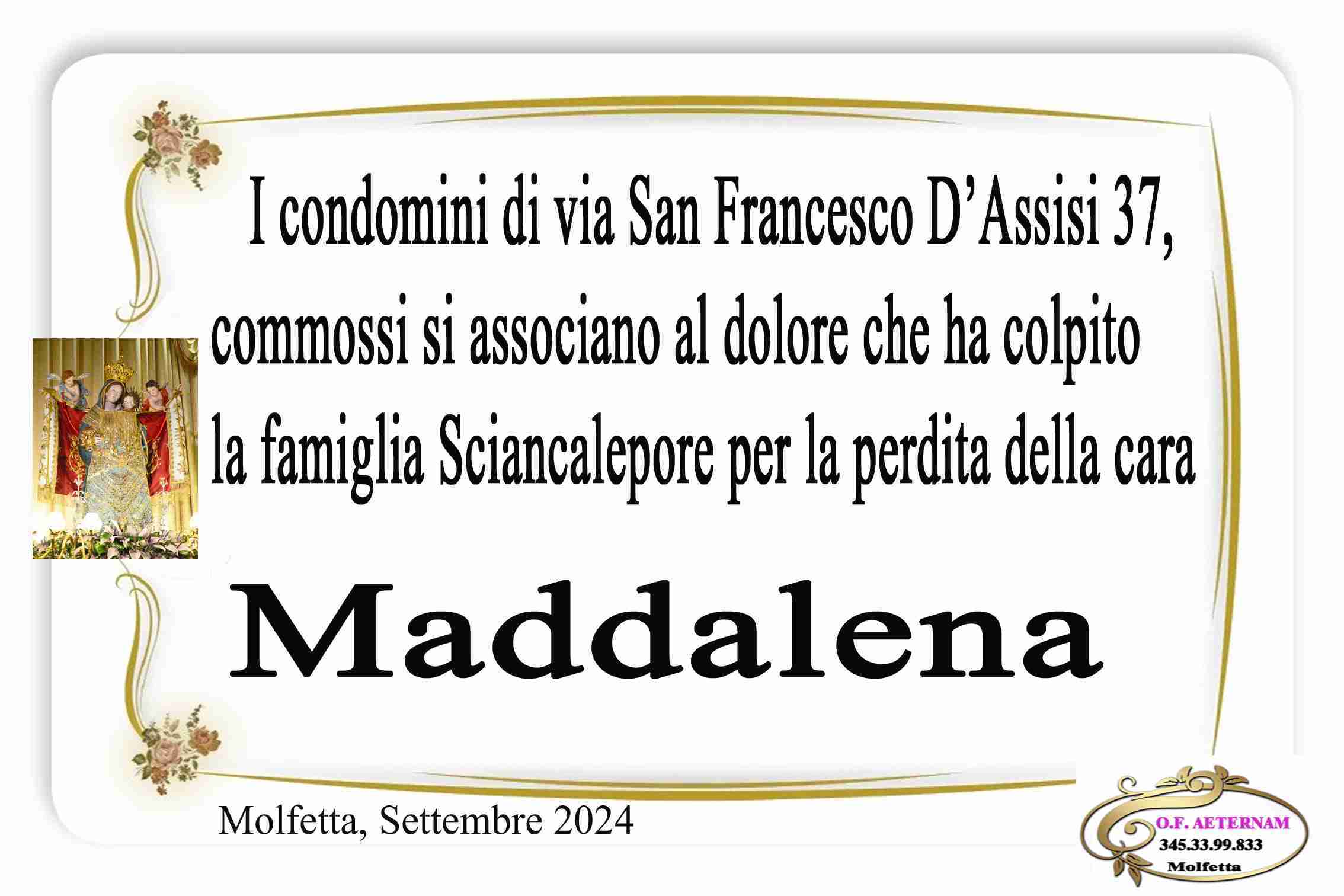 Maddalena Sciancalepore