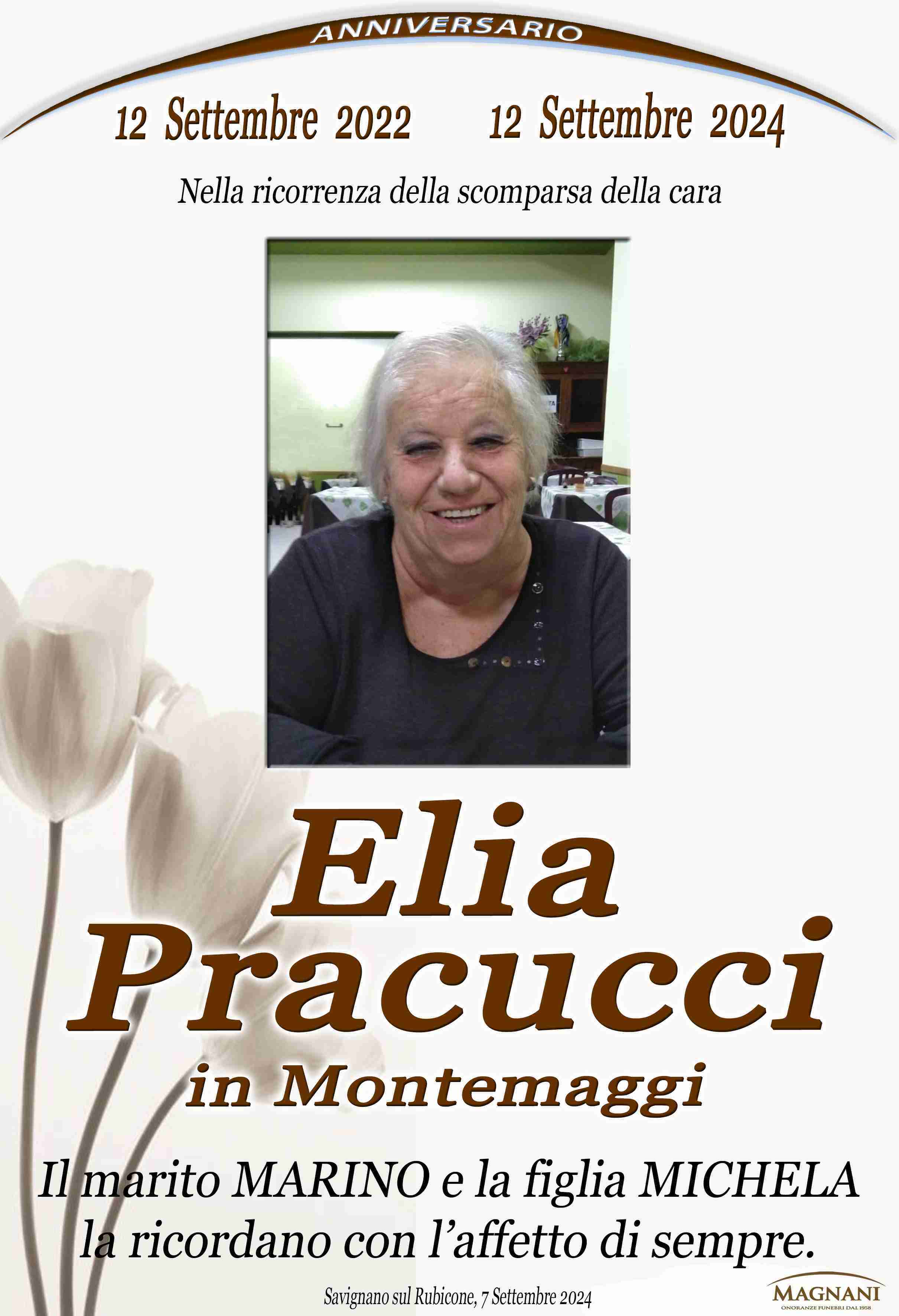 Elia Pracucci