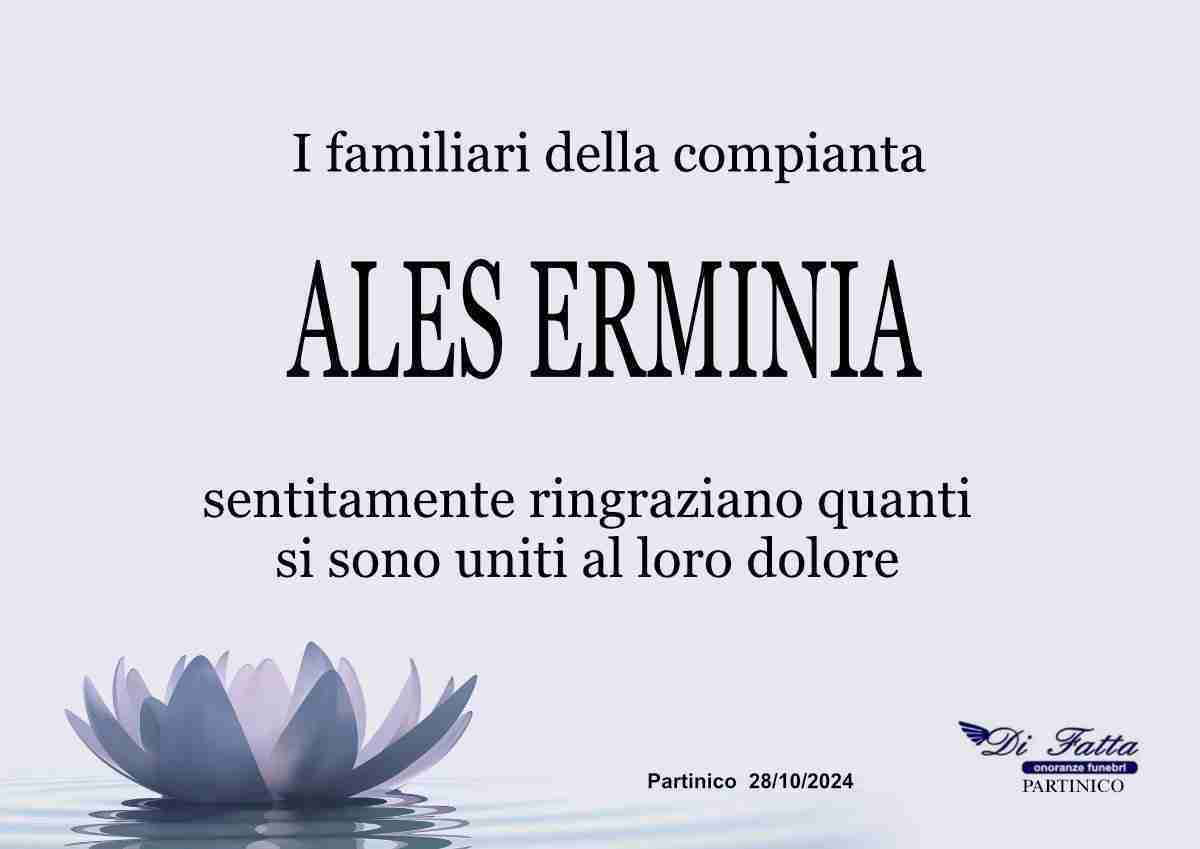 Ales Erminia