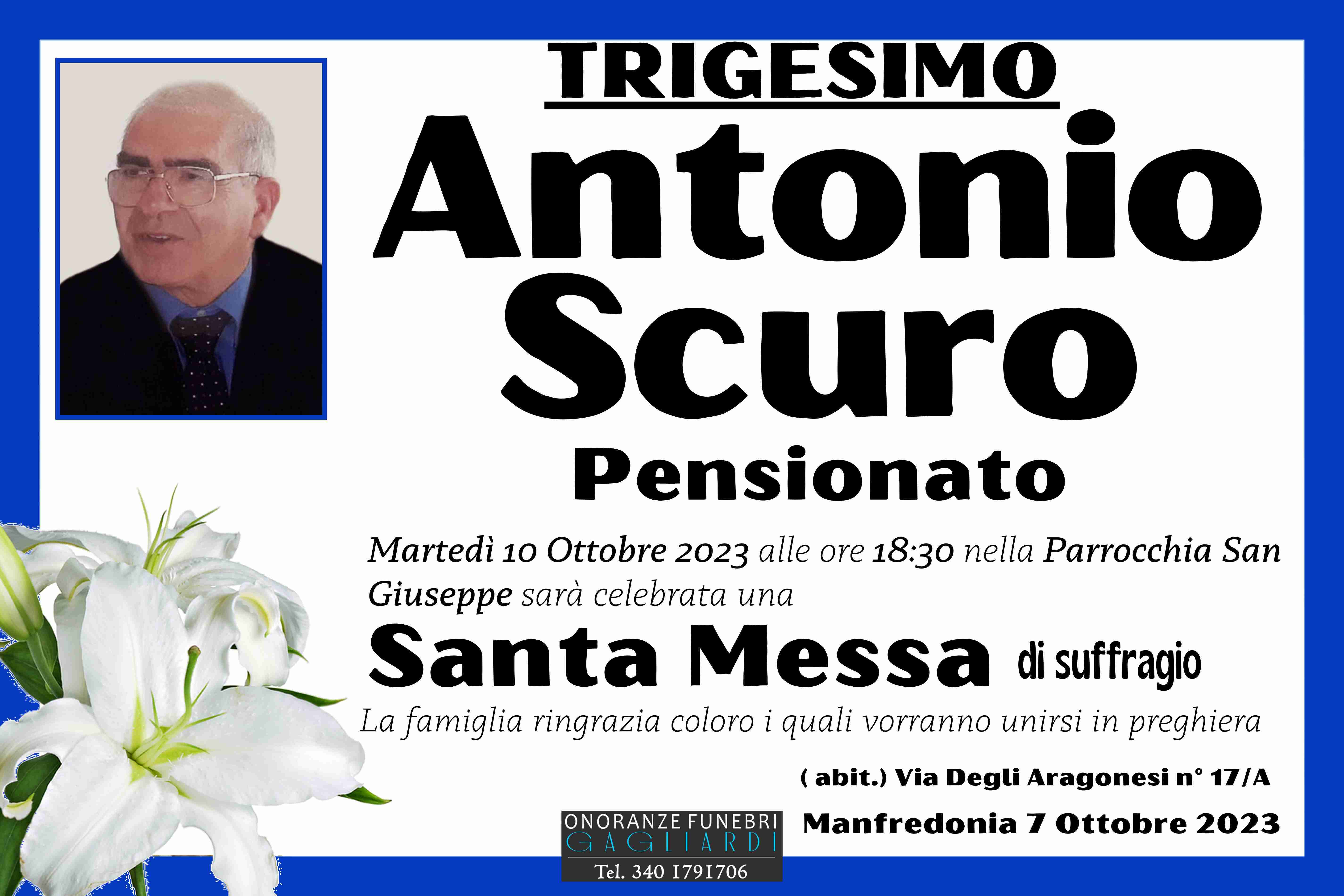 Antonio Scuro