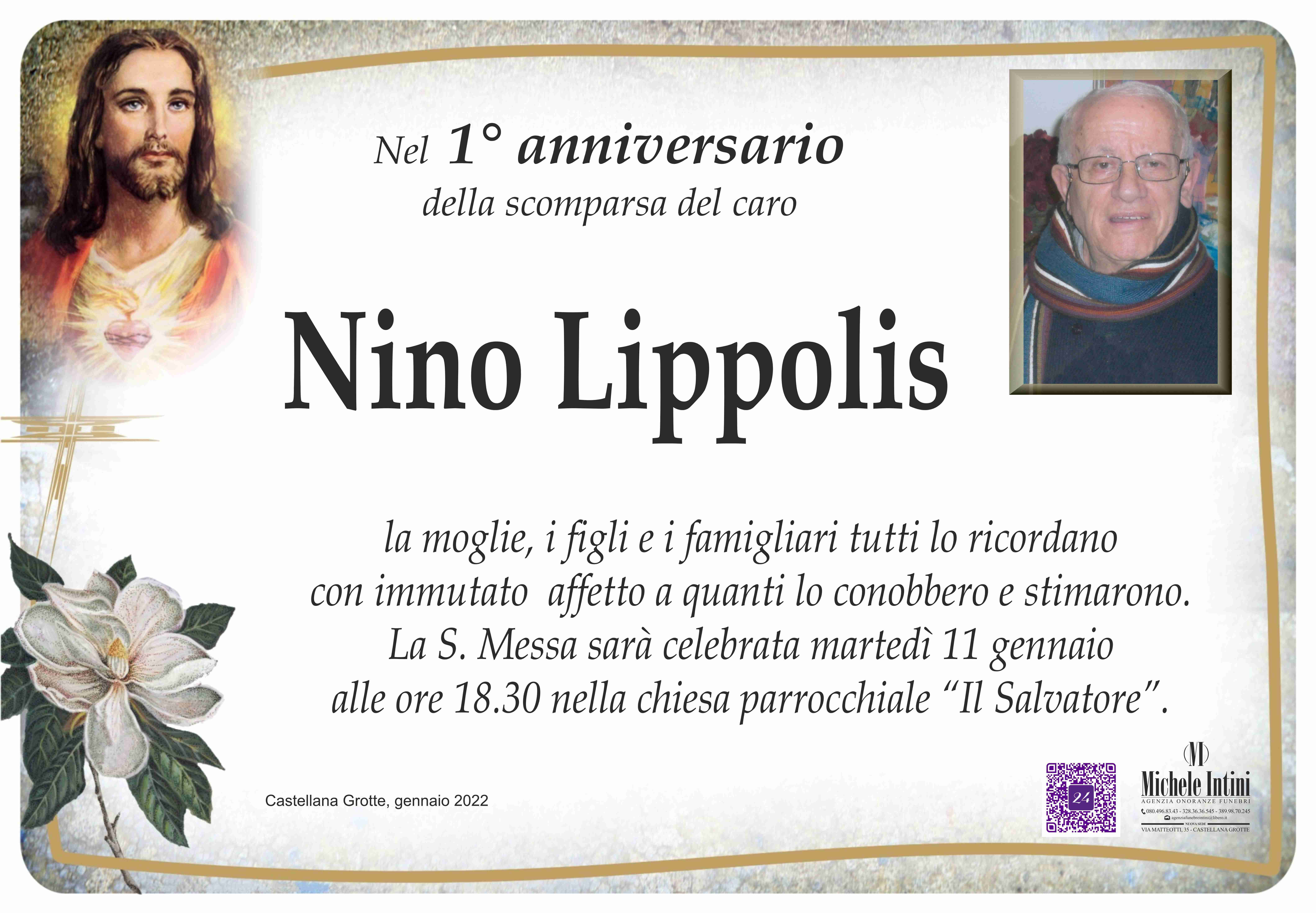 Nino Lippolis