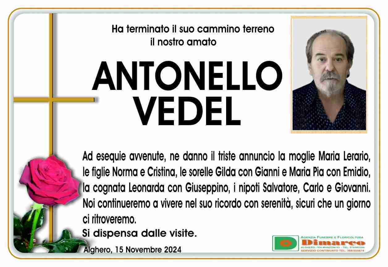 Antonello Vedel