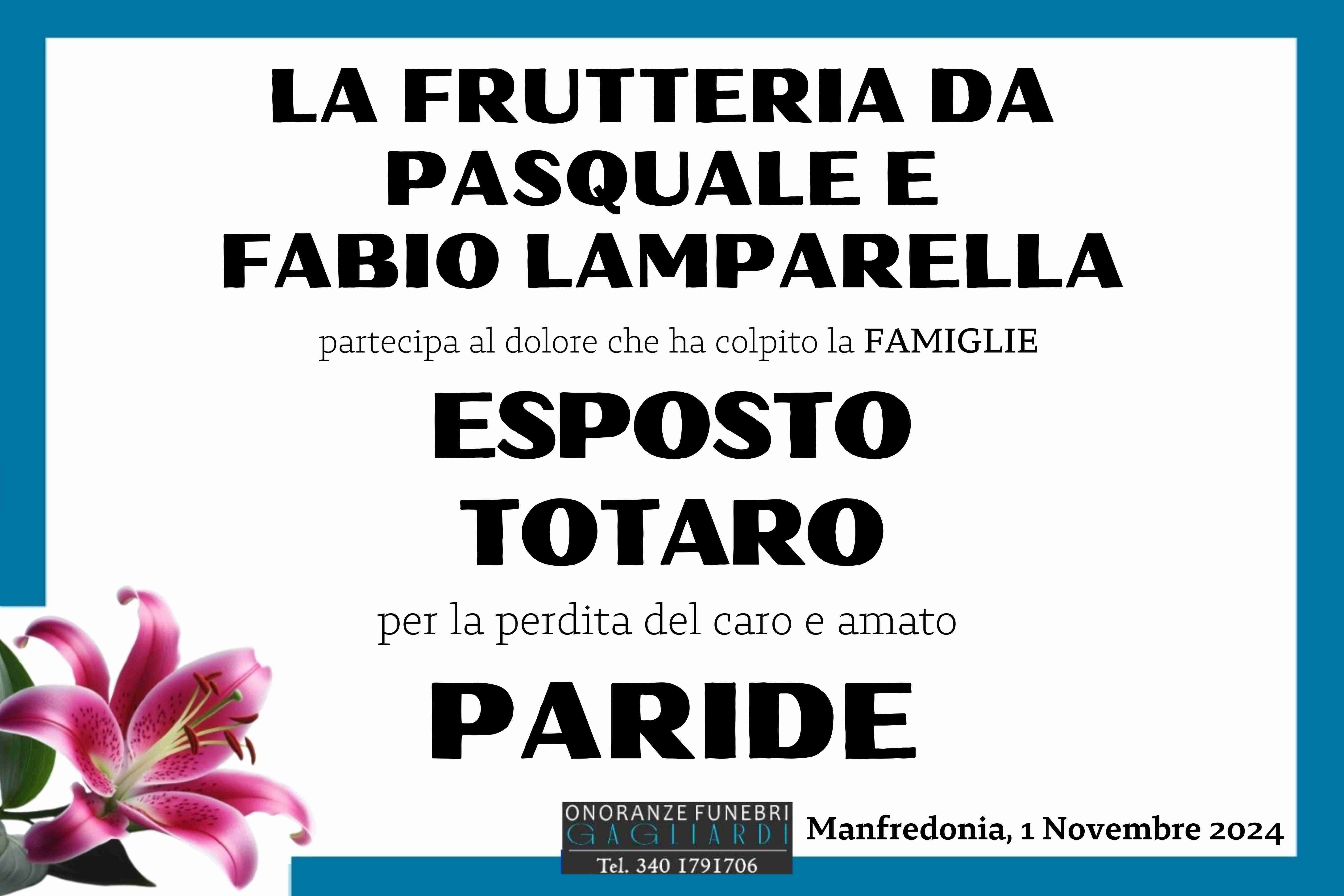 Paride Massimo Esposto