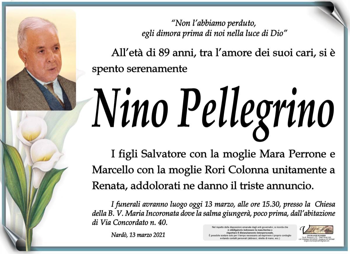 Nino Pellegrino