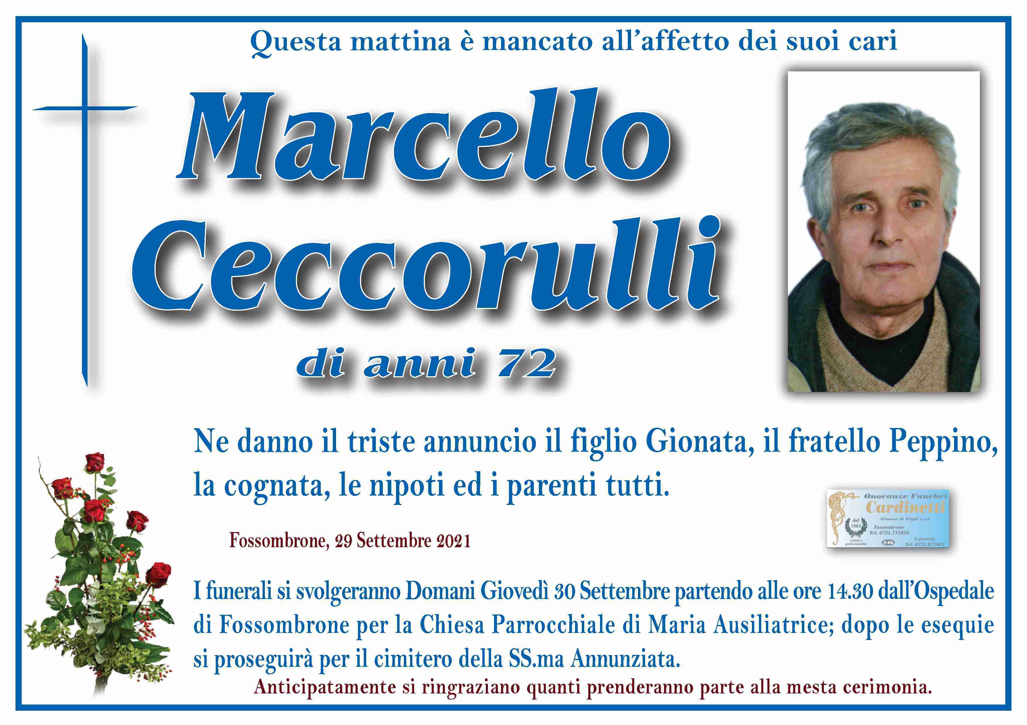 Marcello Ceccorulli
