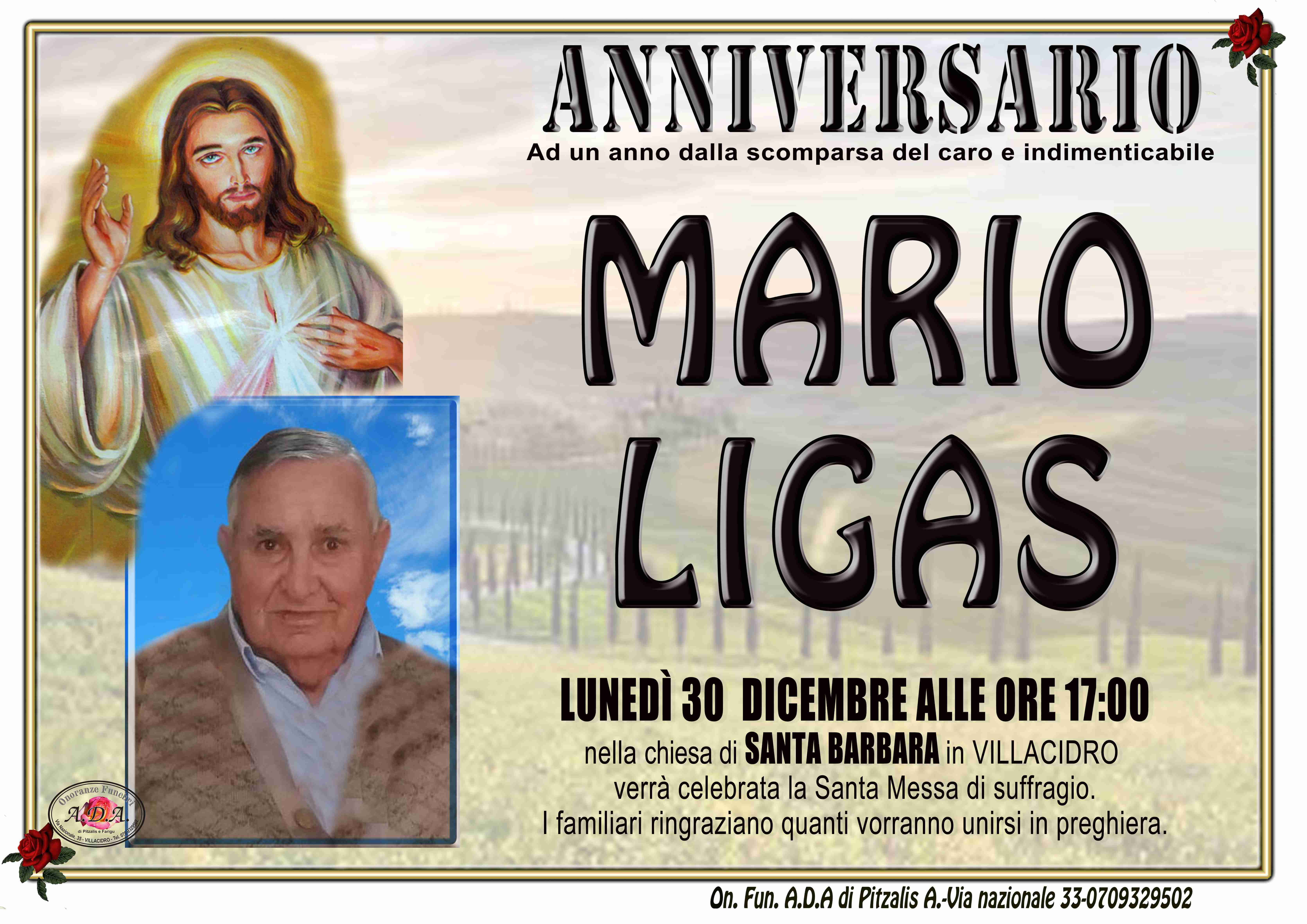 Mario Ligas