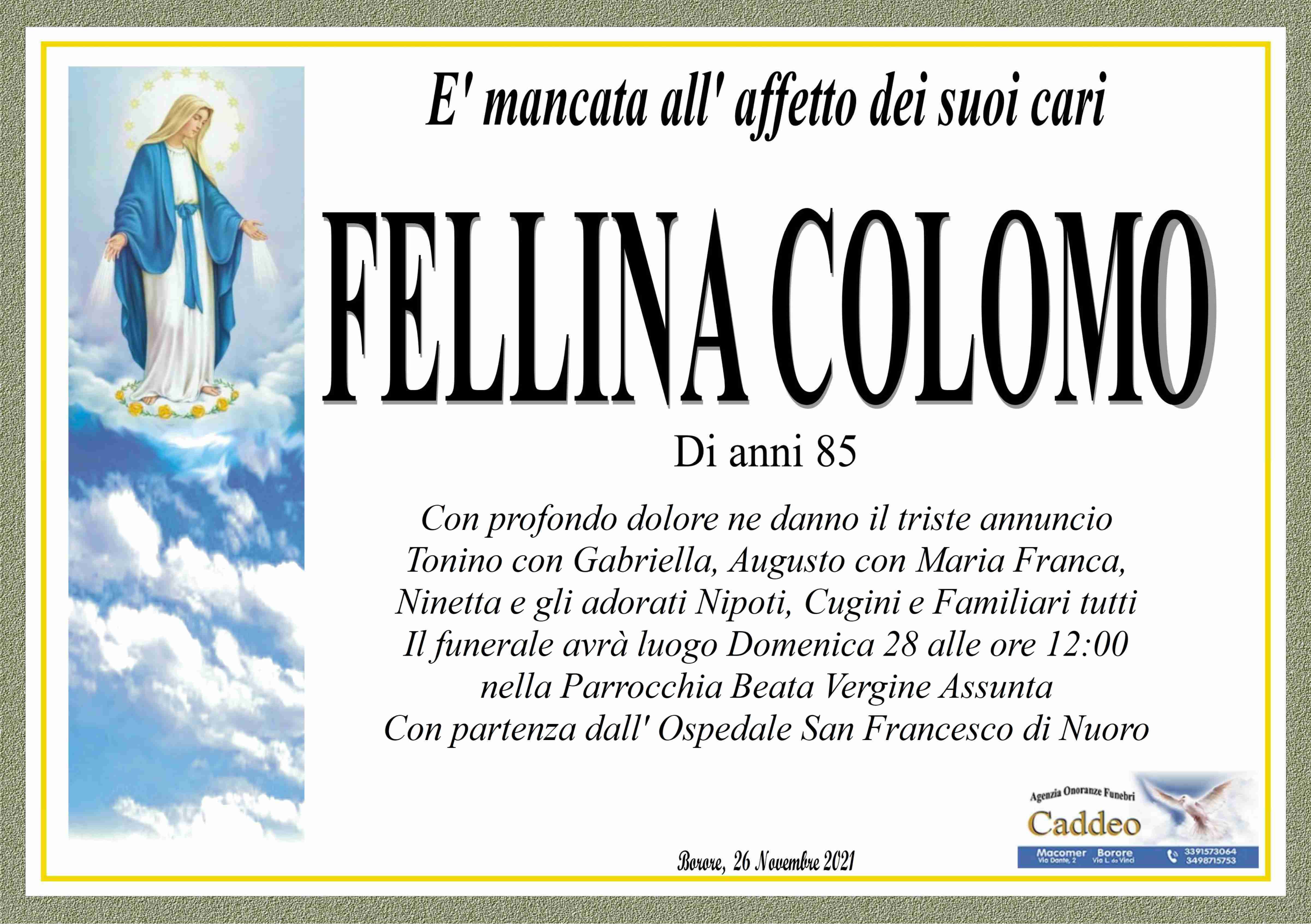 Fellina Colomo