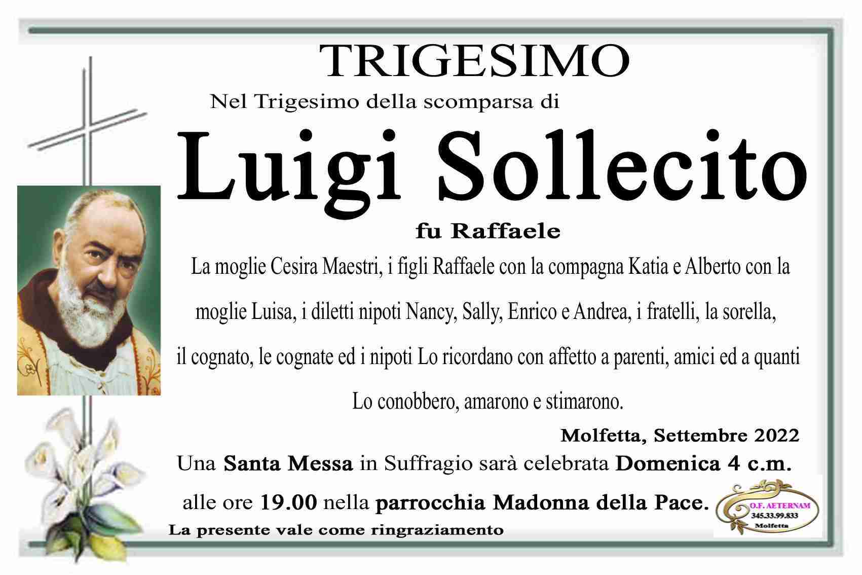 Luigi Sollecito