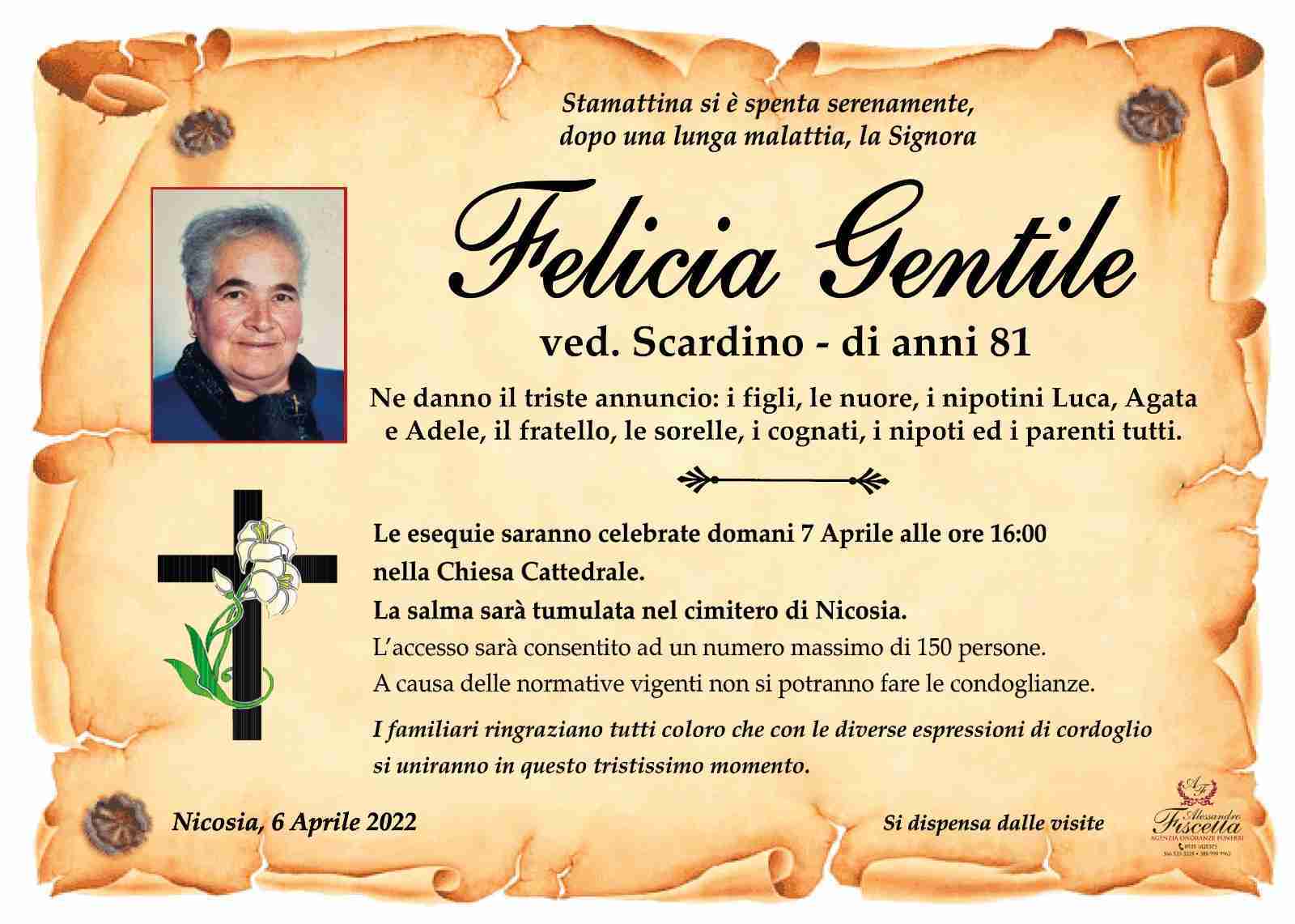 Felicia Gentile