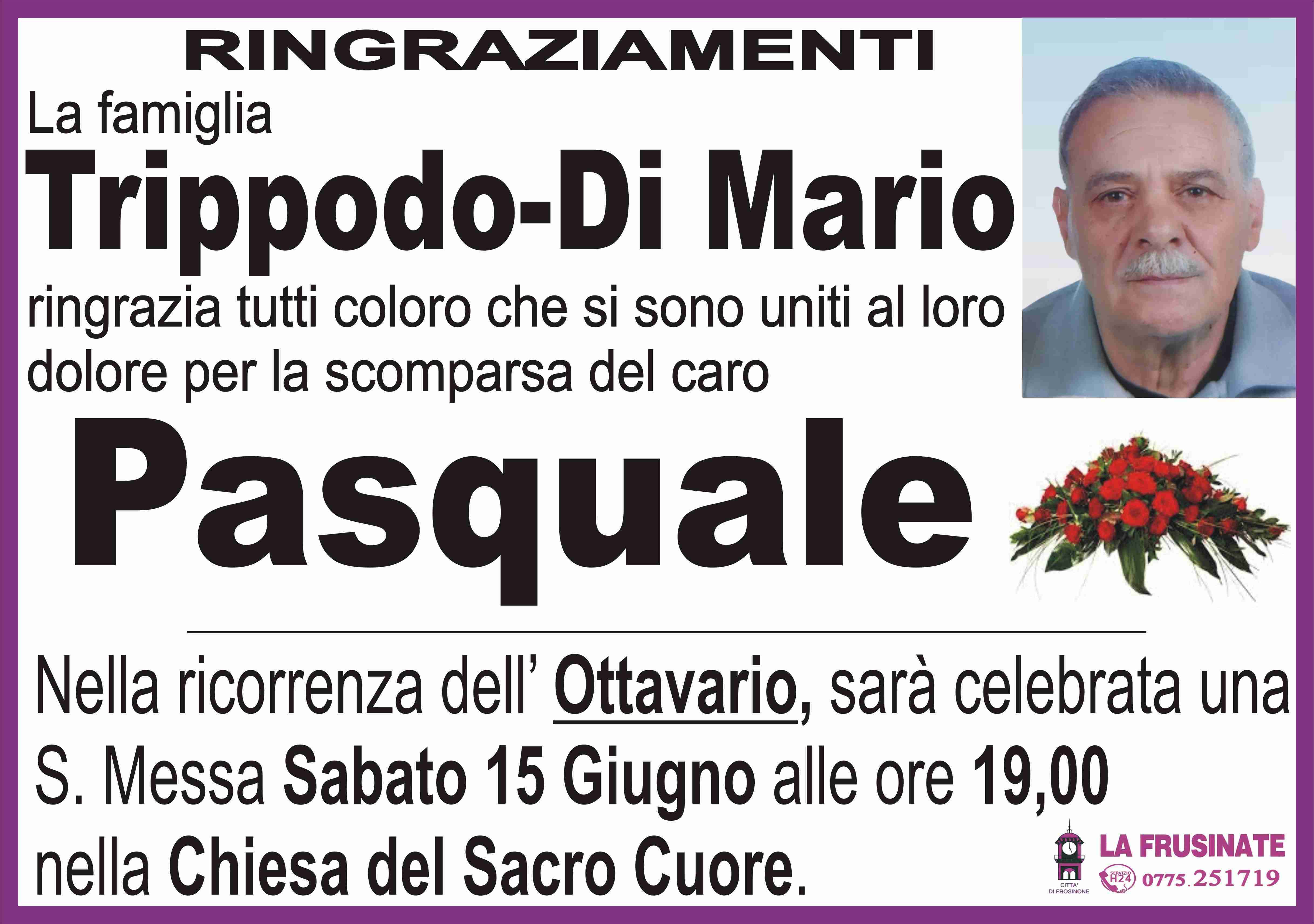 Pasquale Trippodo