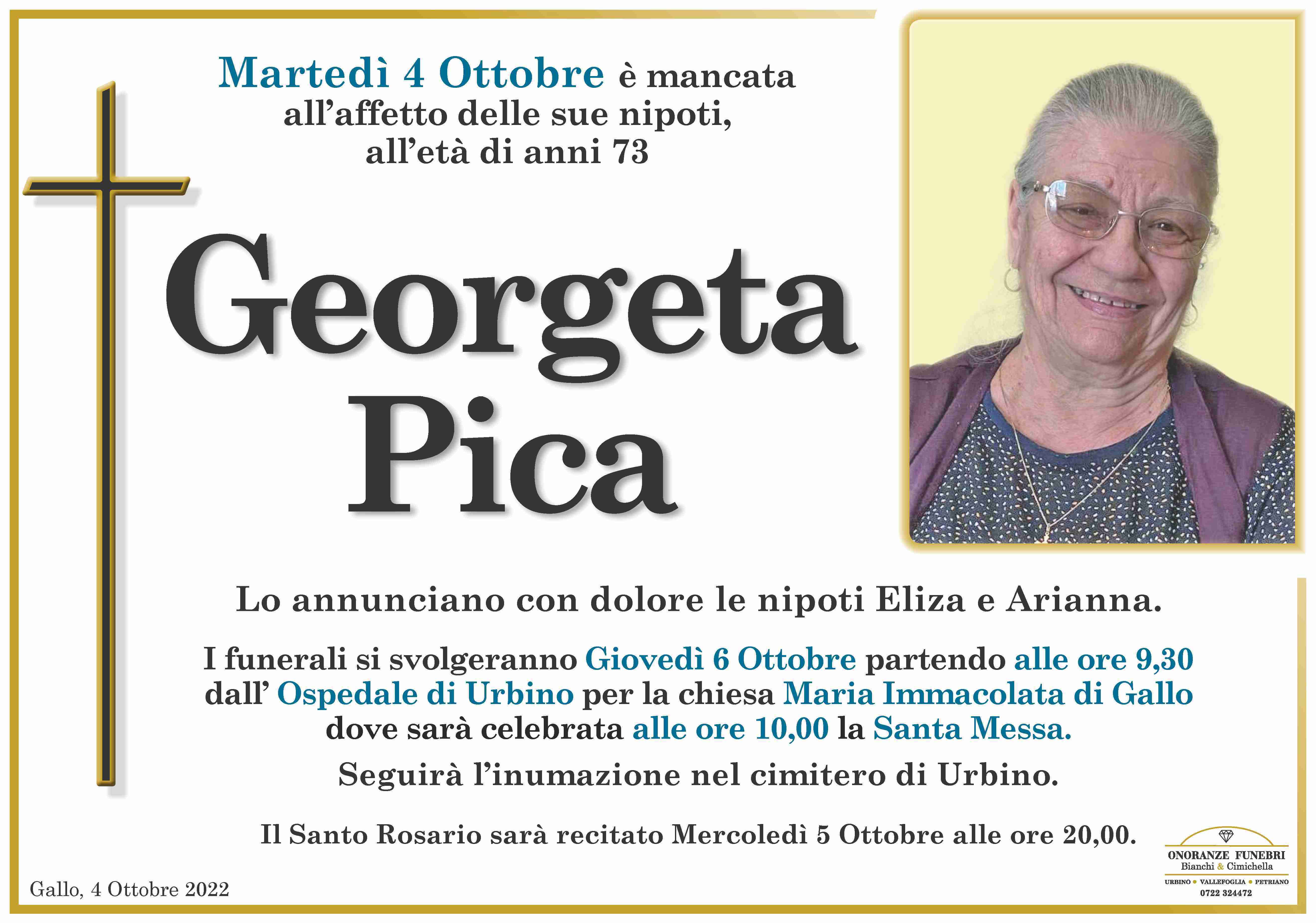 Georgeta Pica