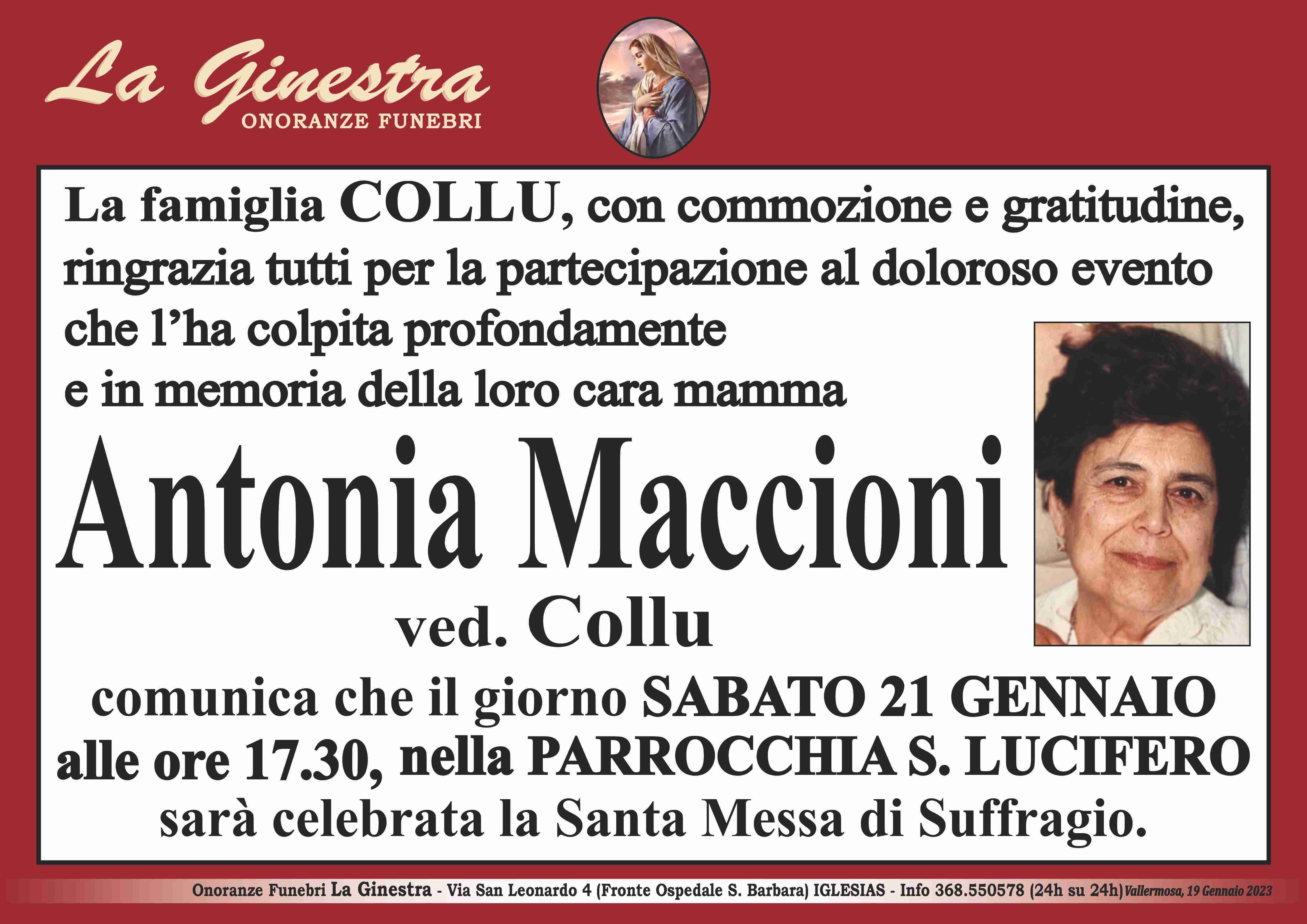 Antonia Maccioni