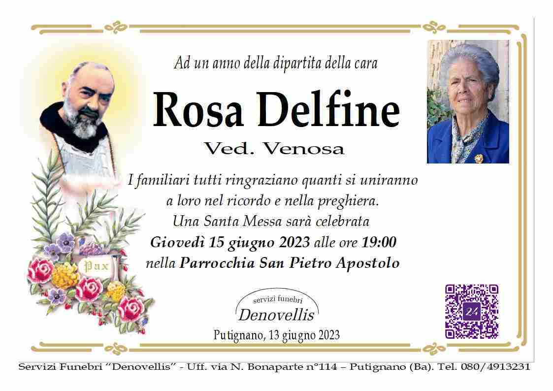 Rosa Delfine