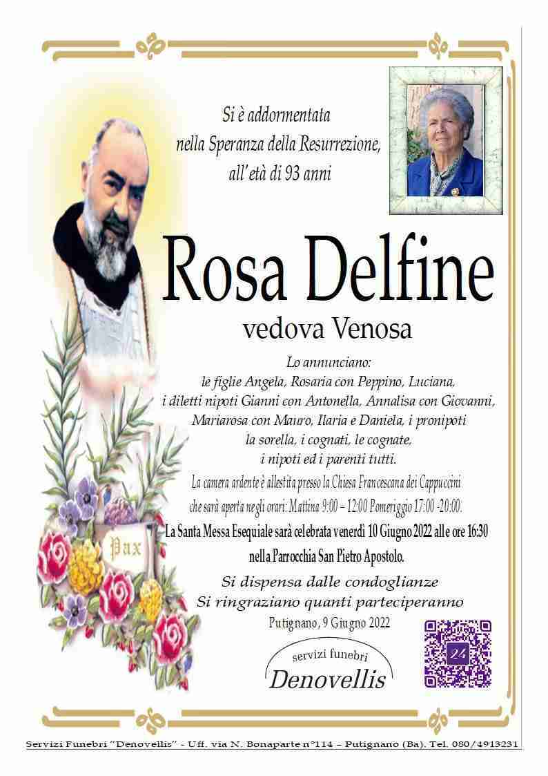 Rosa Delfine