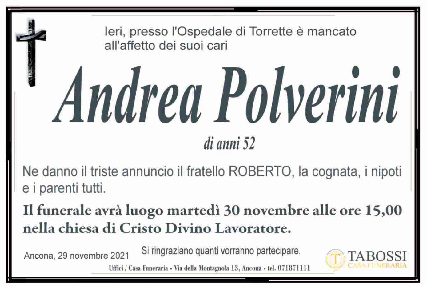 Andrea Polverini