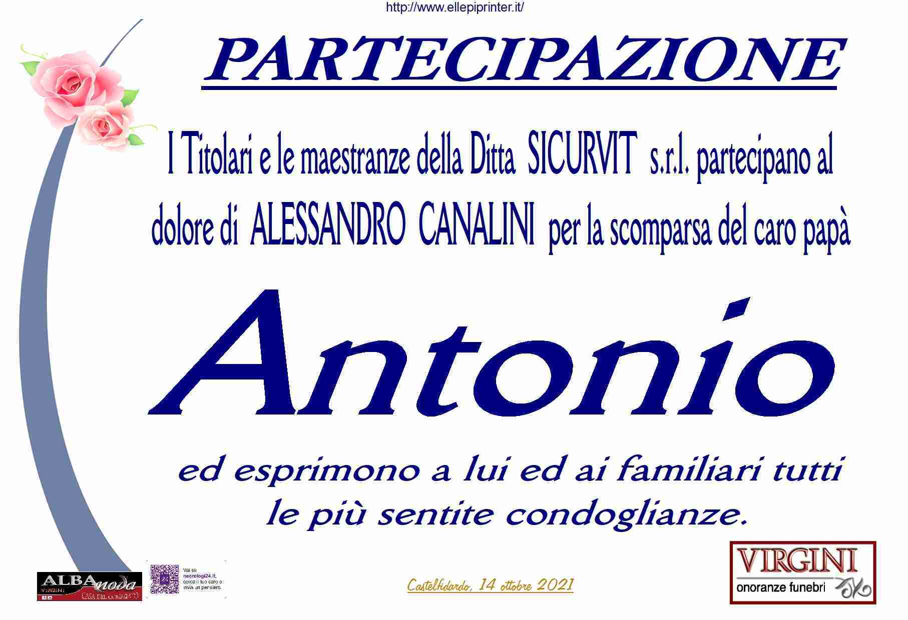 Antonio Canalini
