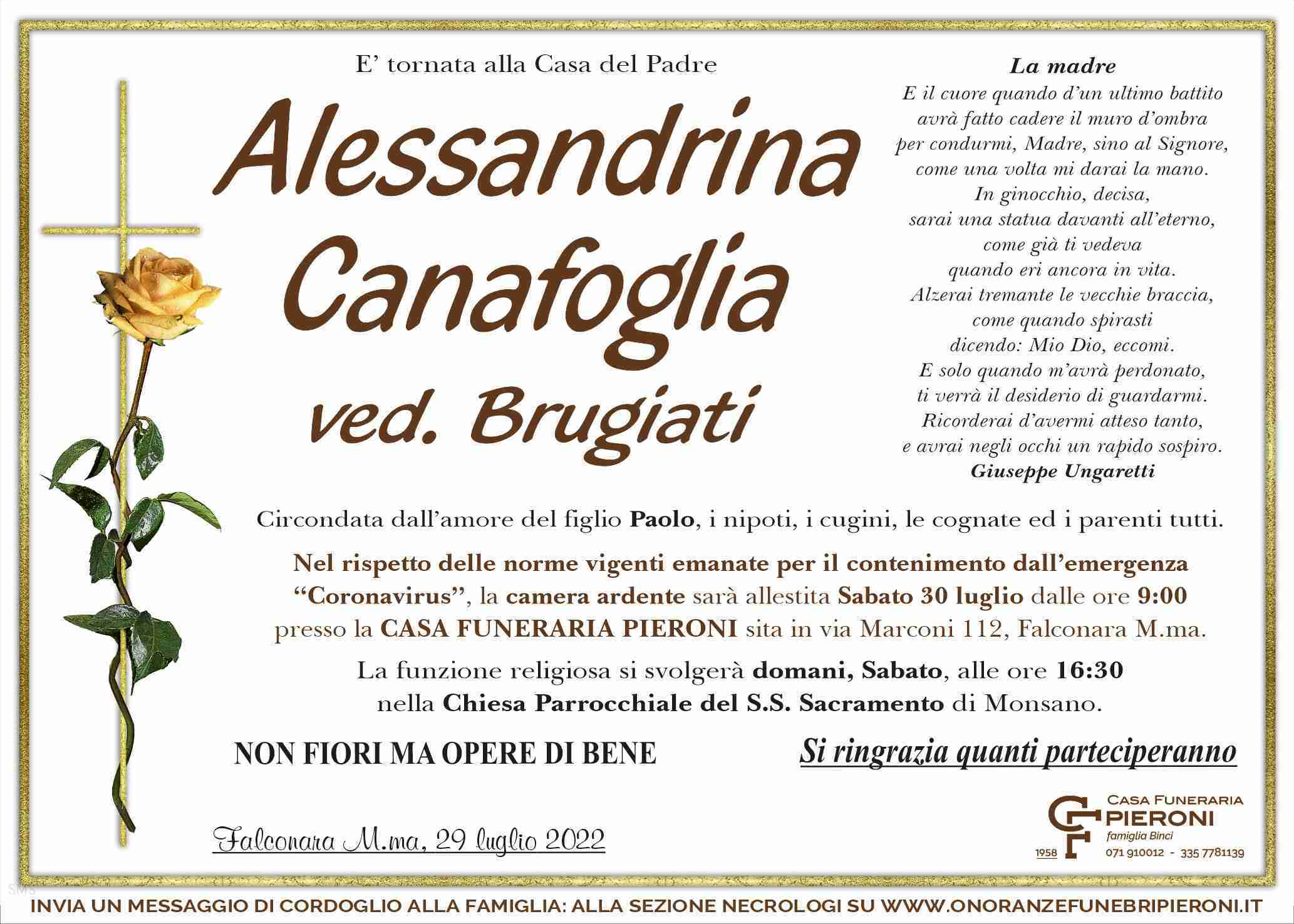 Alessandrina Canafoglia