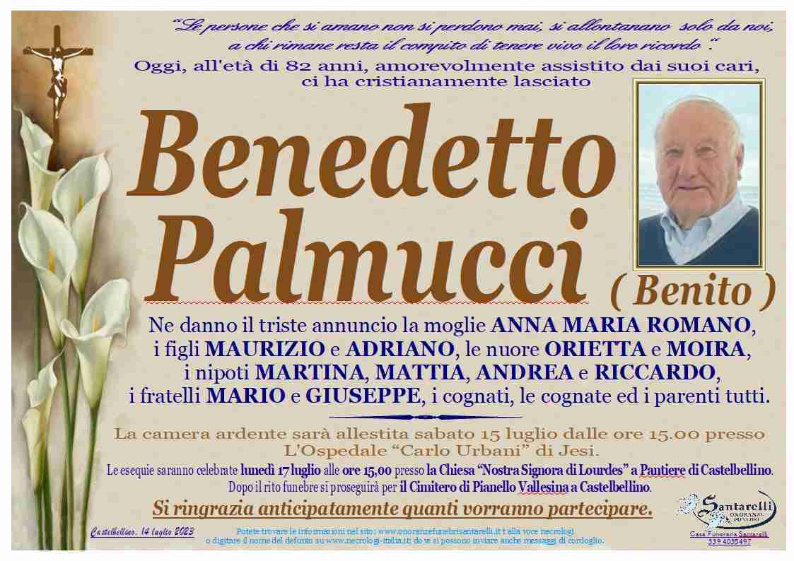 Benedetto Palmucci