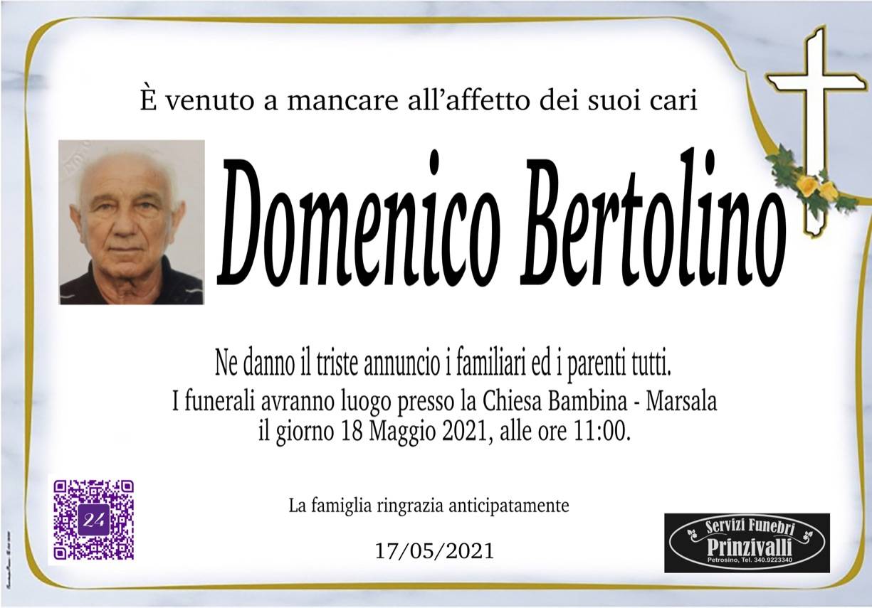 Domenico Bertolino