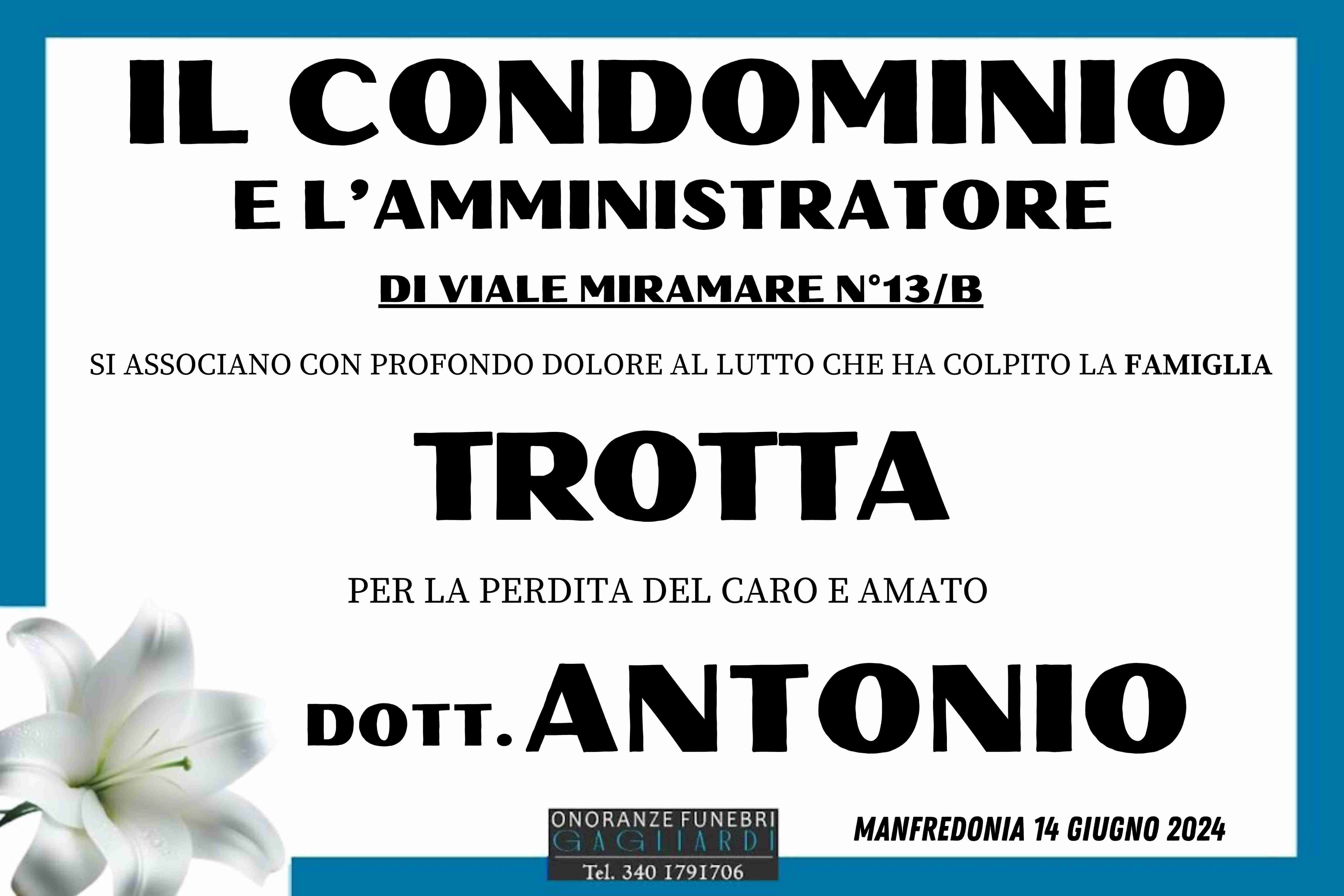 Dott. Antonio Trotta