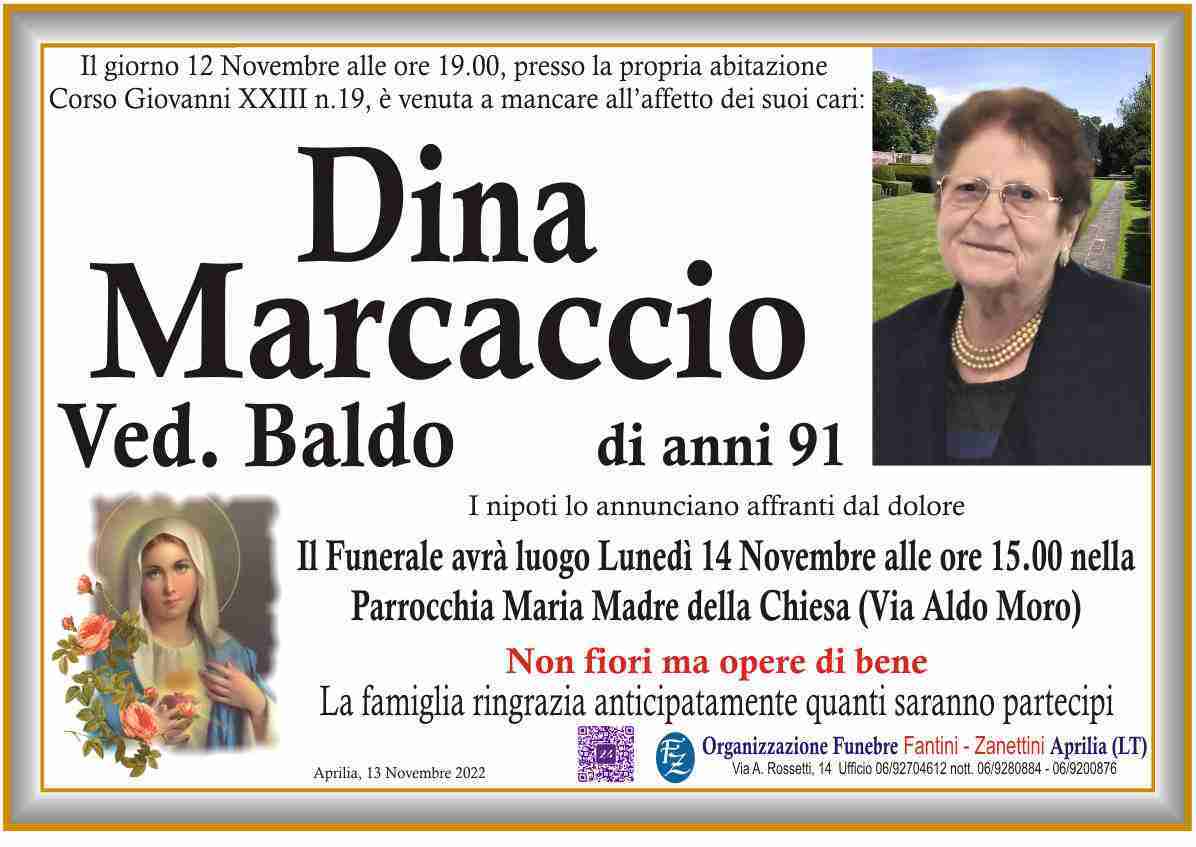 Dina Marcaccio