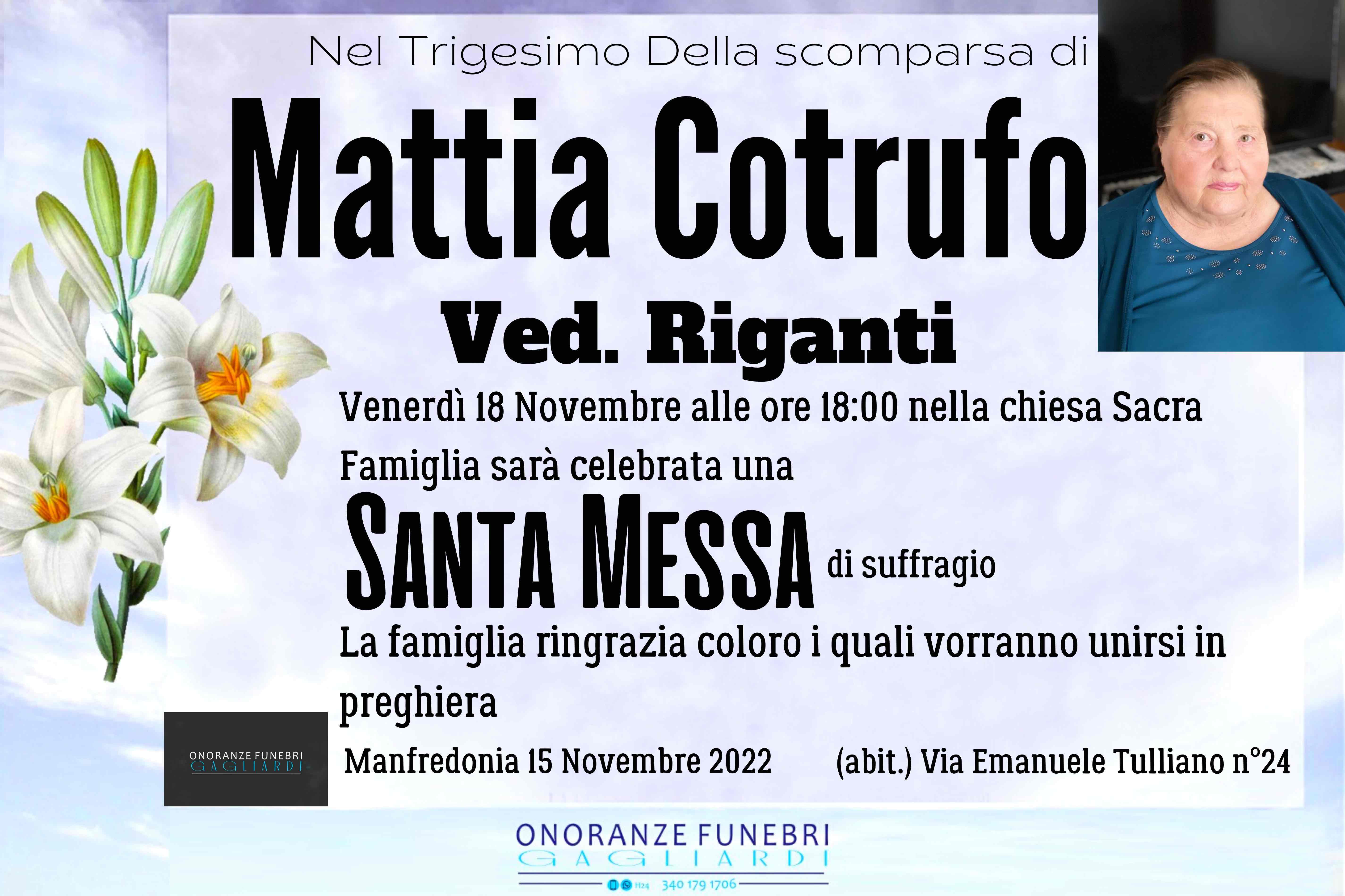 Mattia Cotrufo