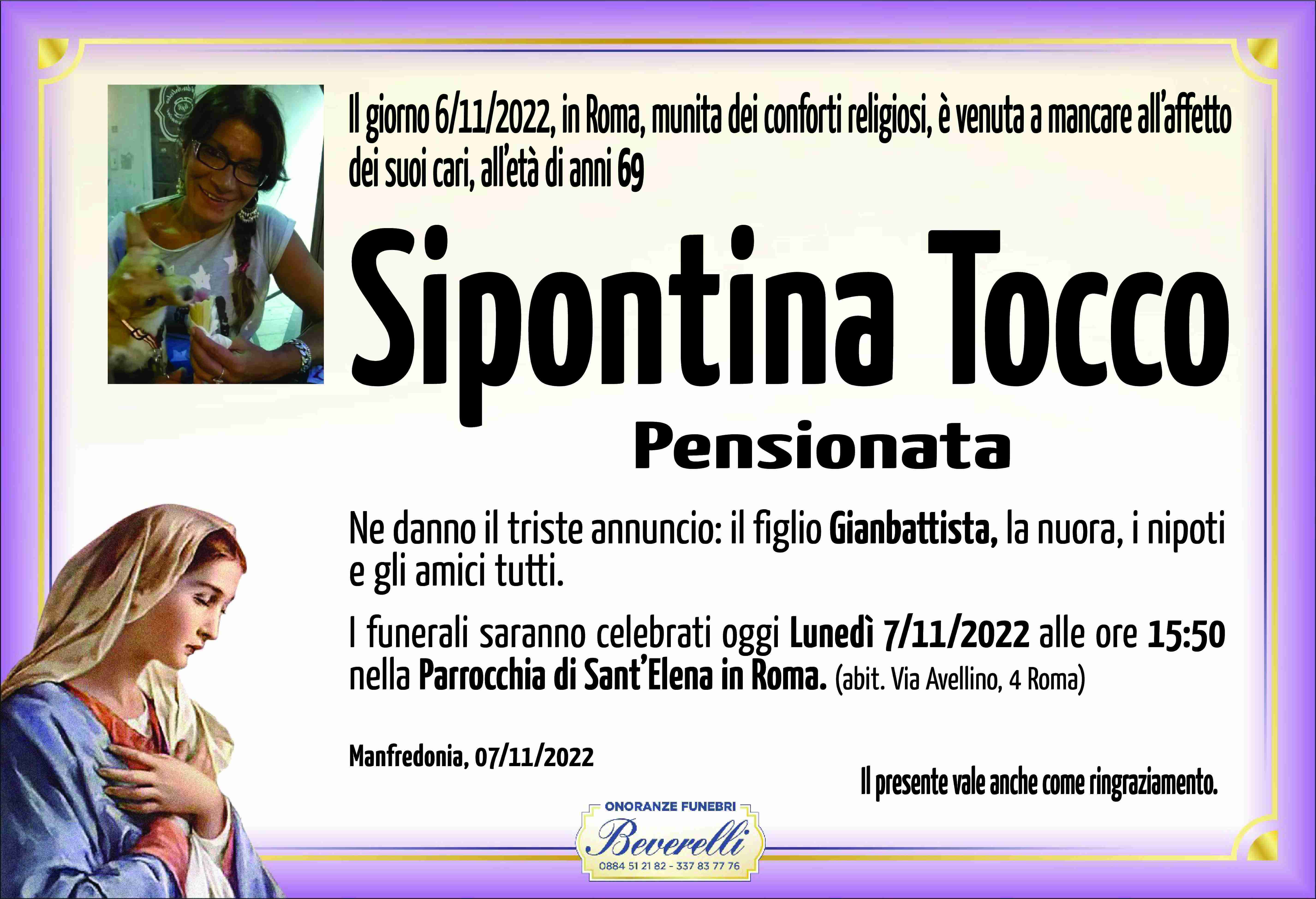 Sipontina Tocco