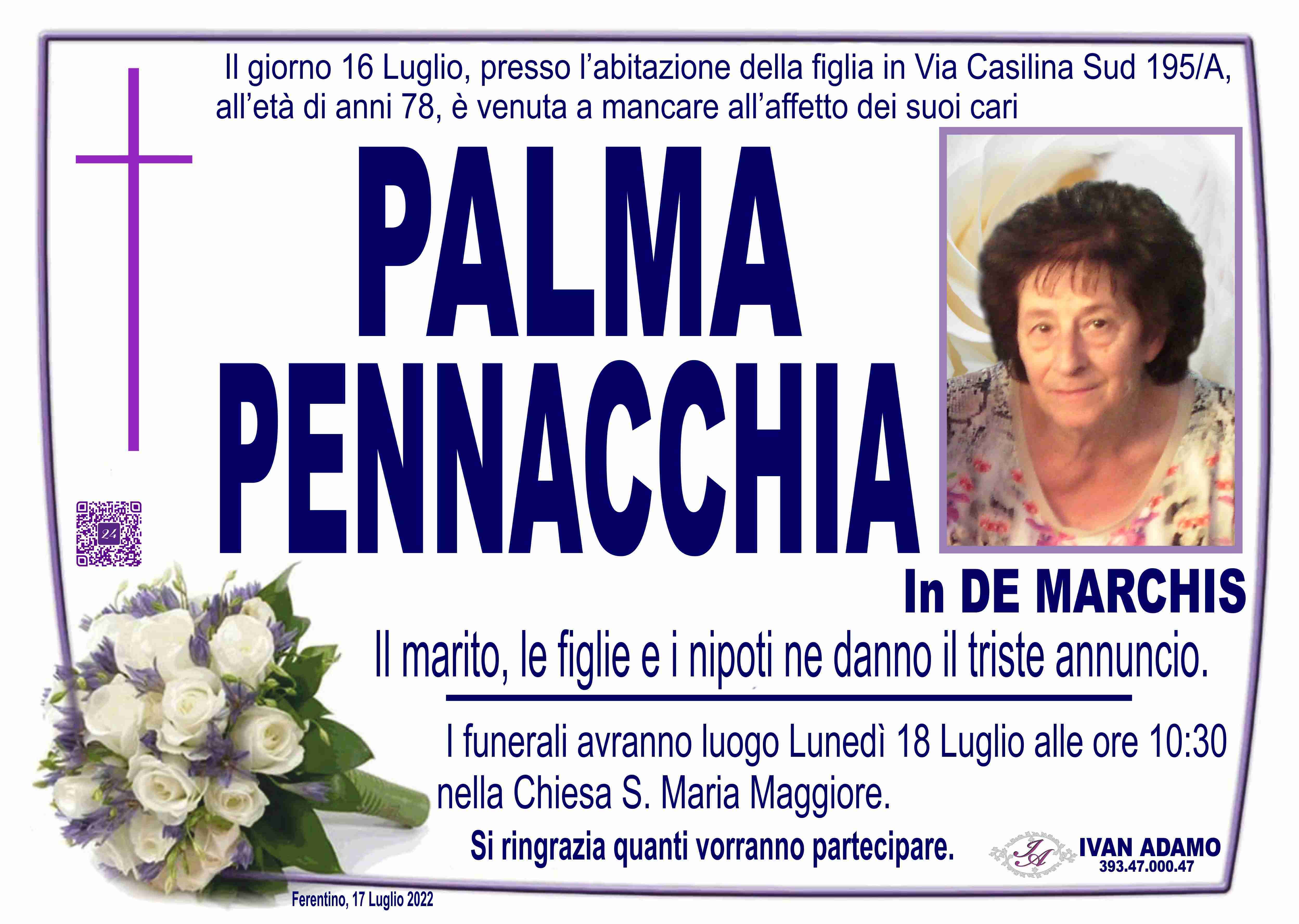 Palma Pennacchia
