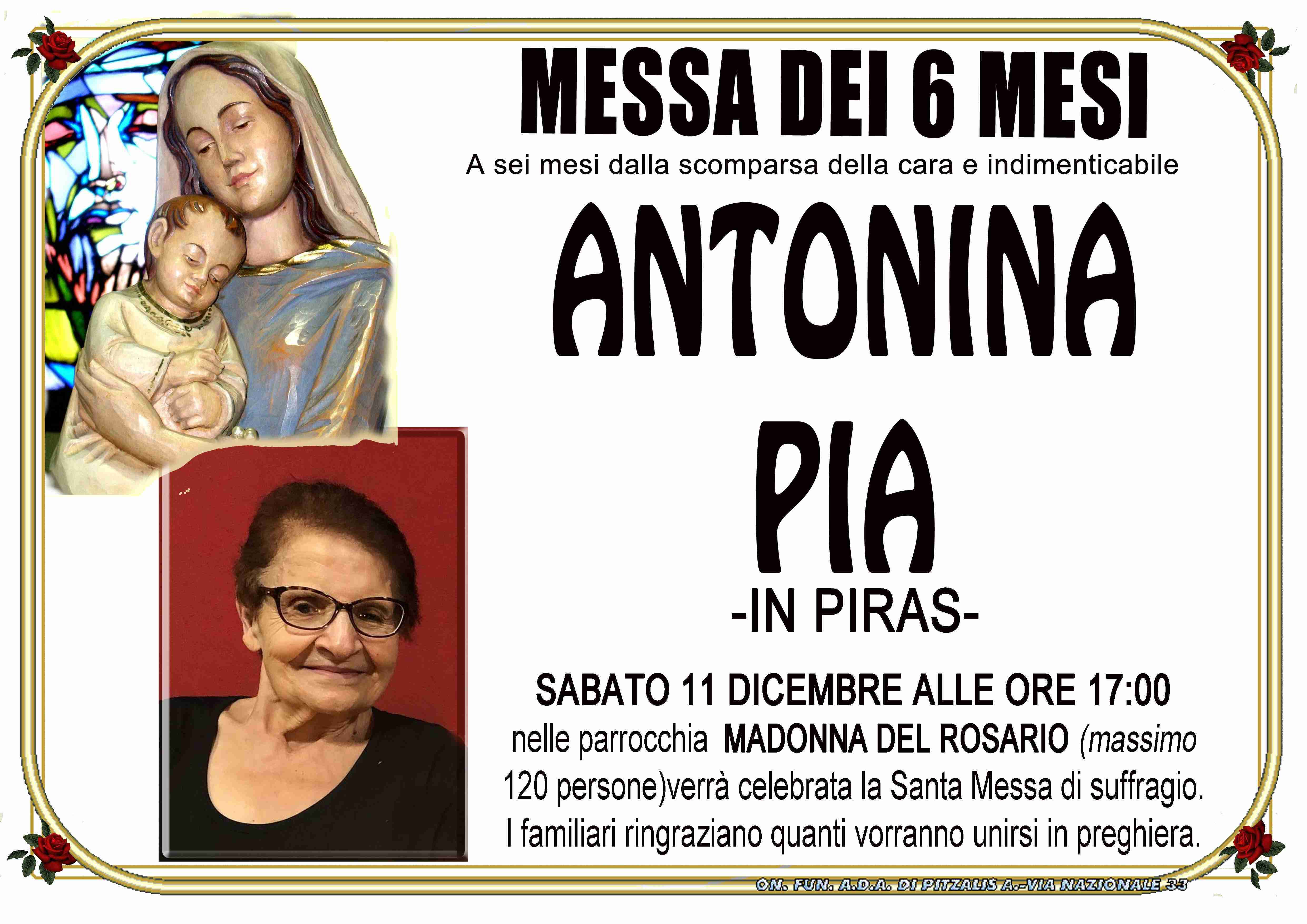 Antonina Pia