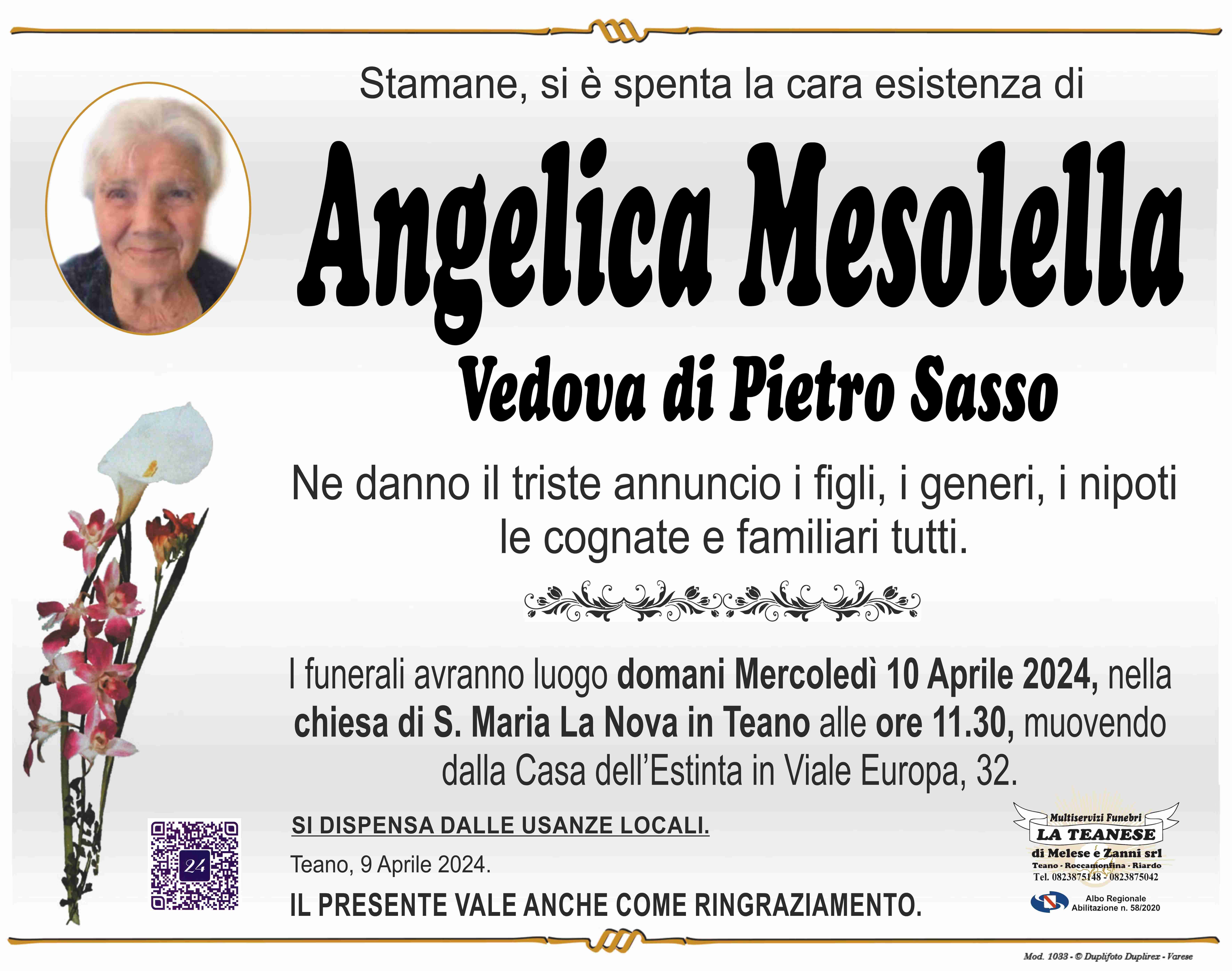 Angelica Mesolella