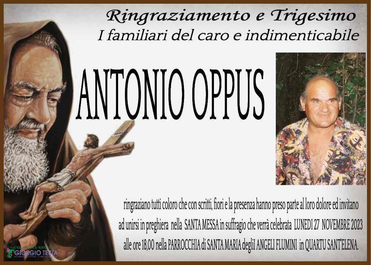 Antonio Oppus