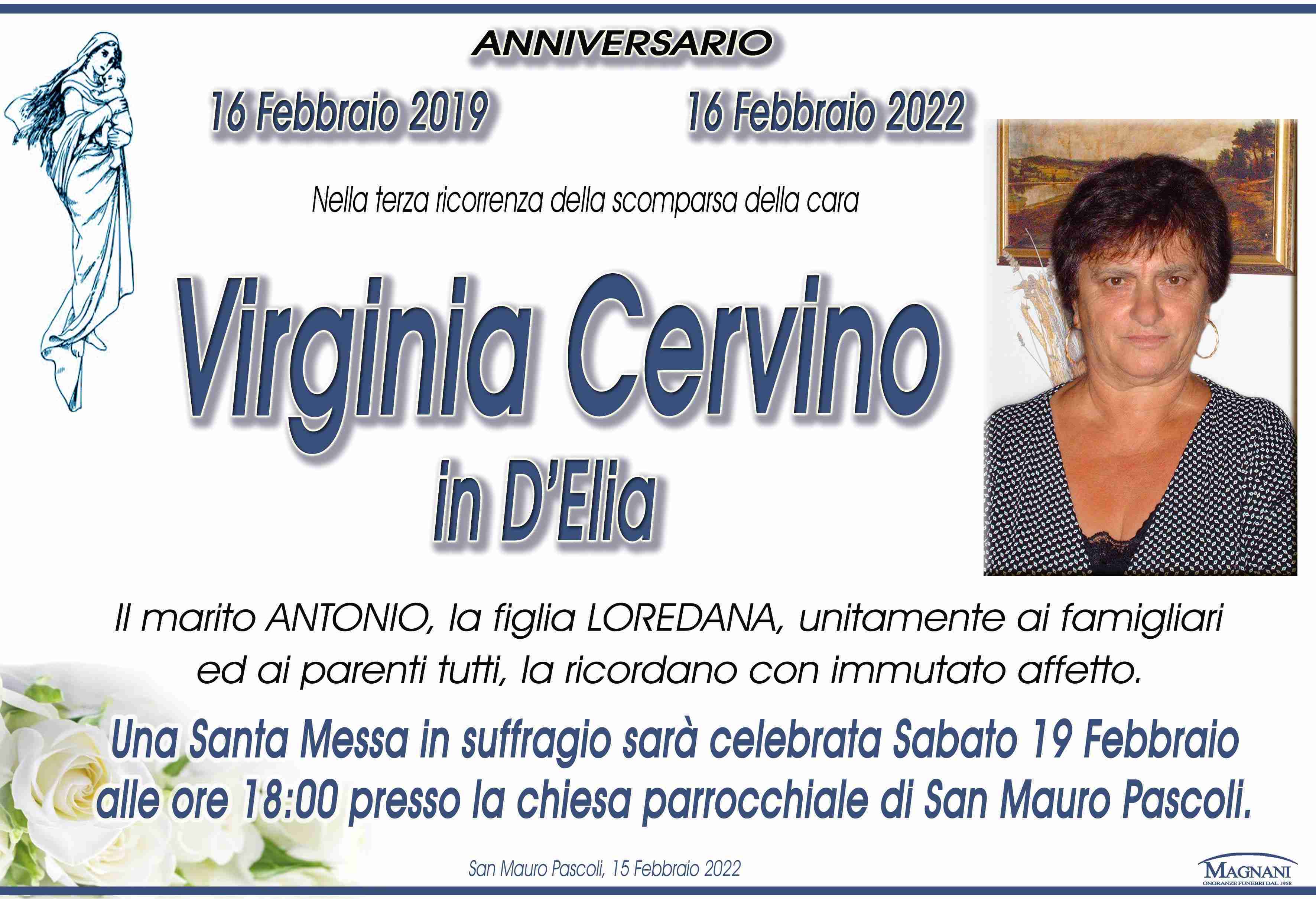 Virginia Cervino