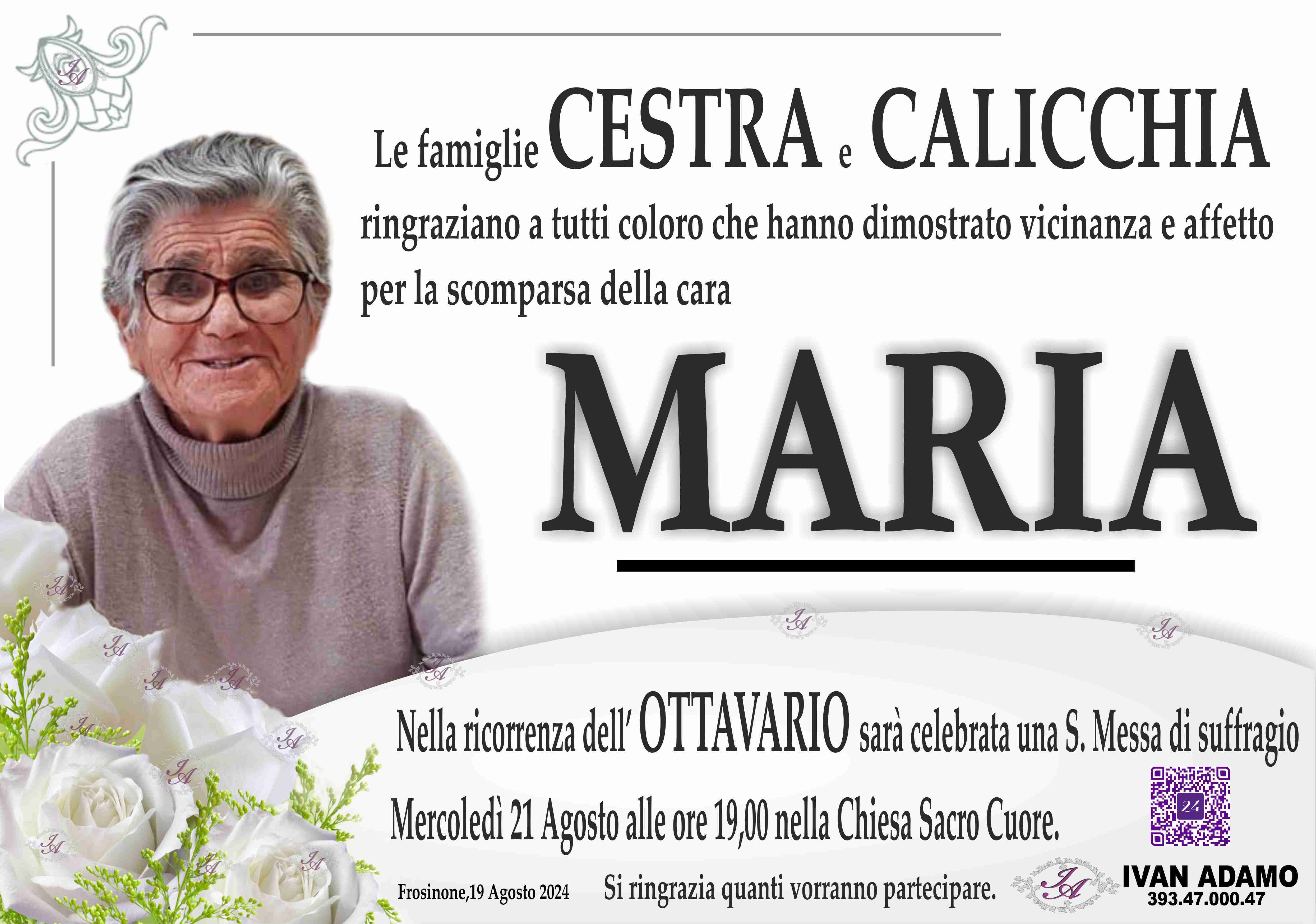 Maria Calicchia