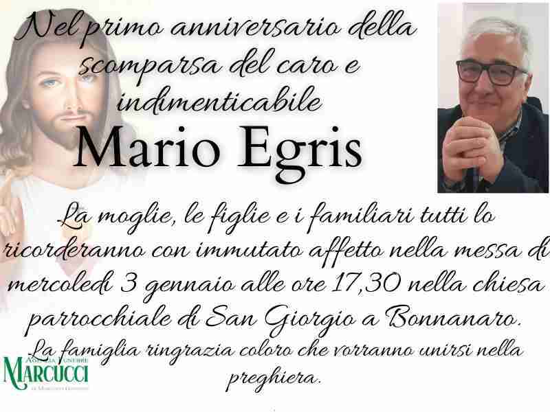 Mario Egris