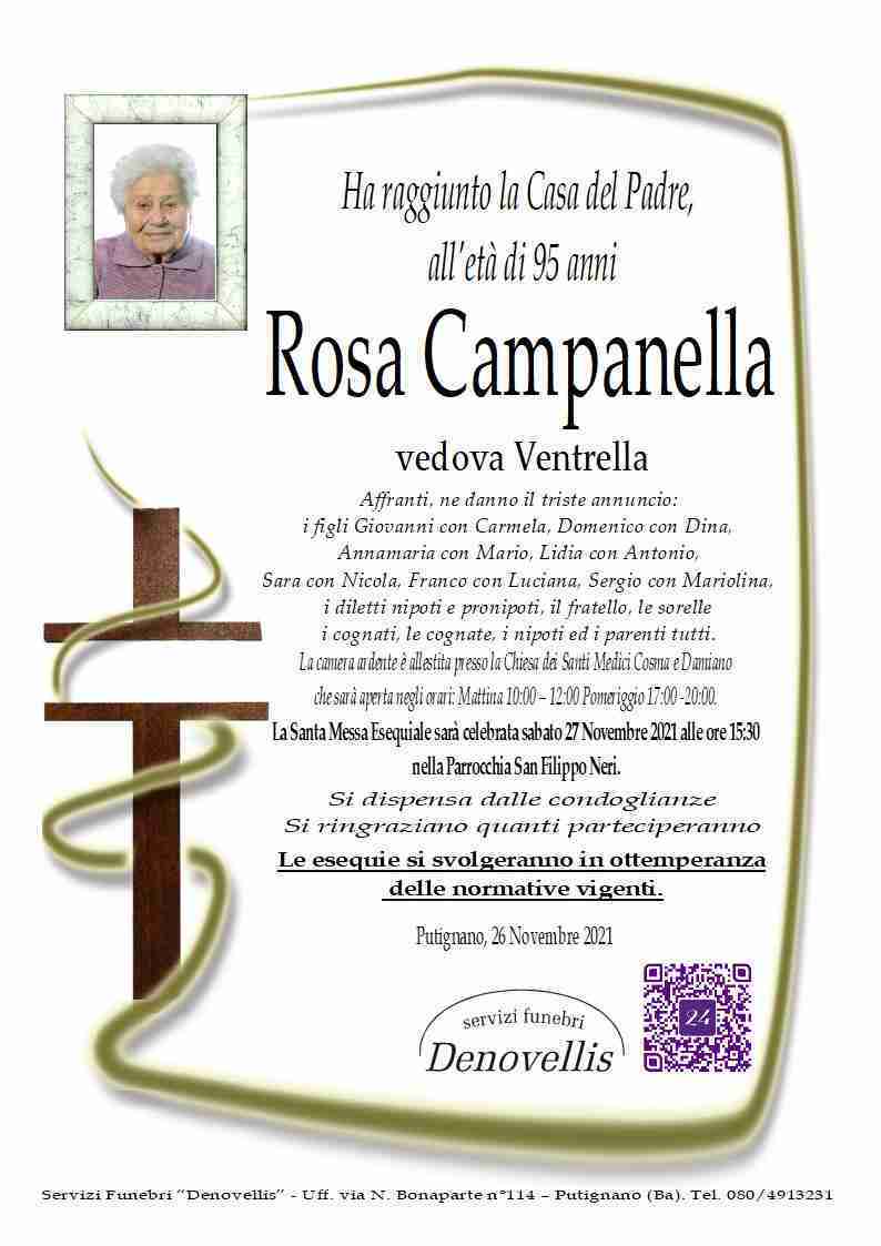 Rosa Campanella