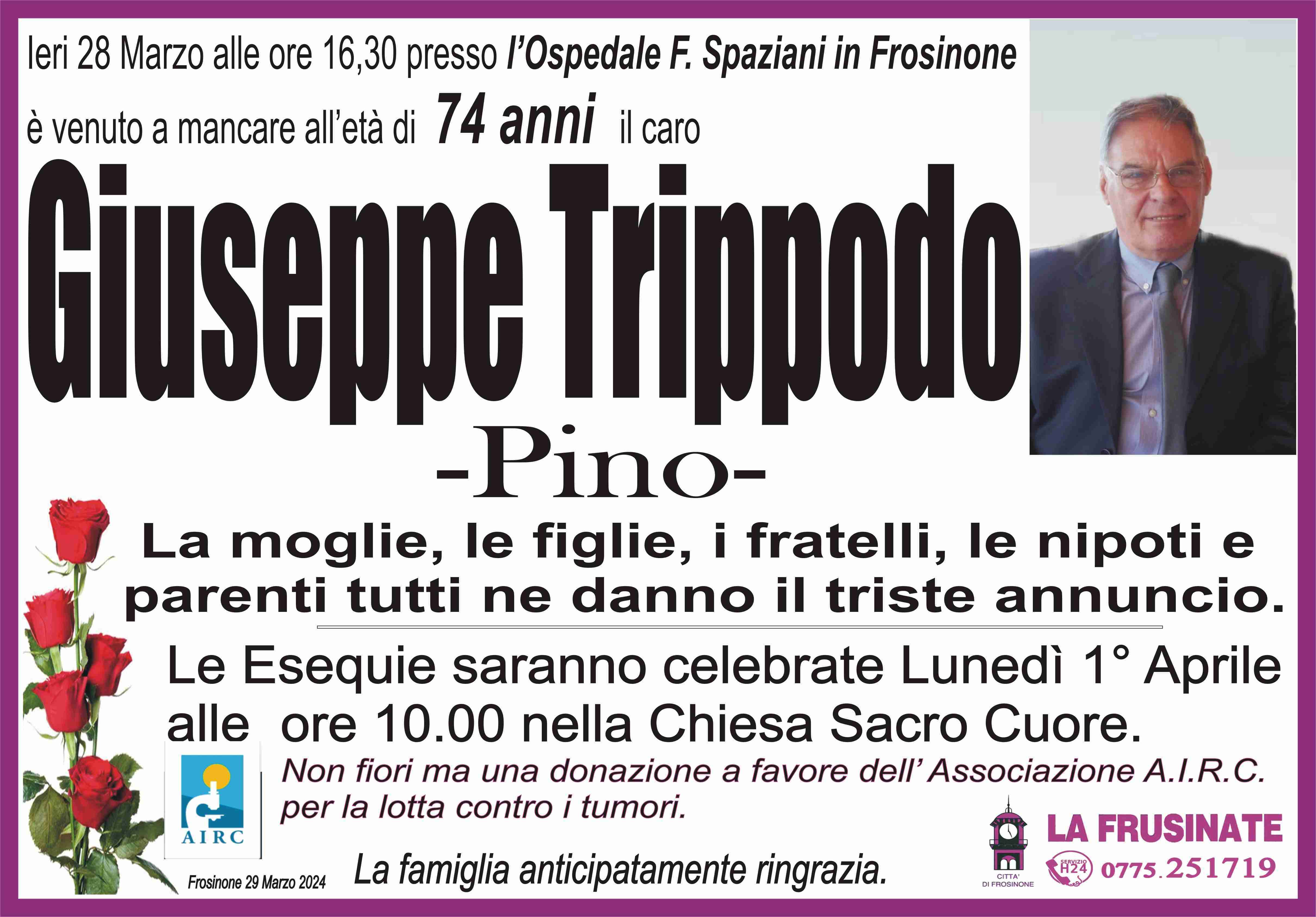 Giuseppe Trippodo