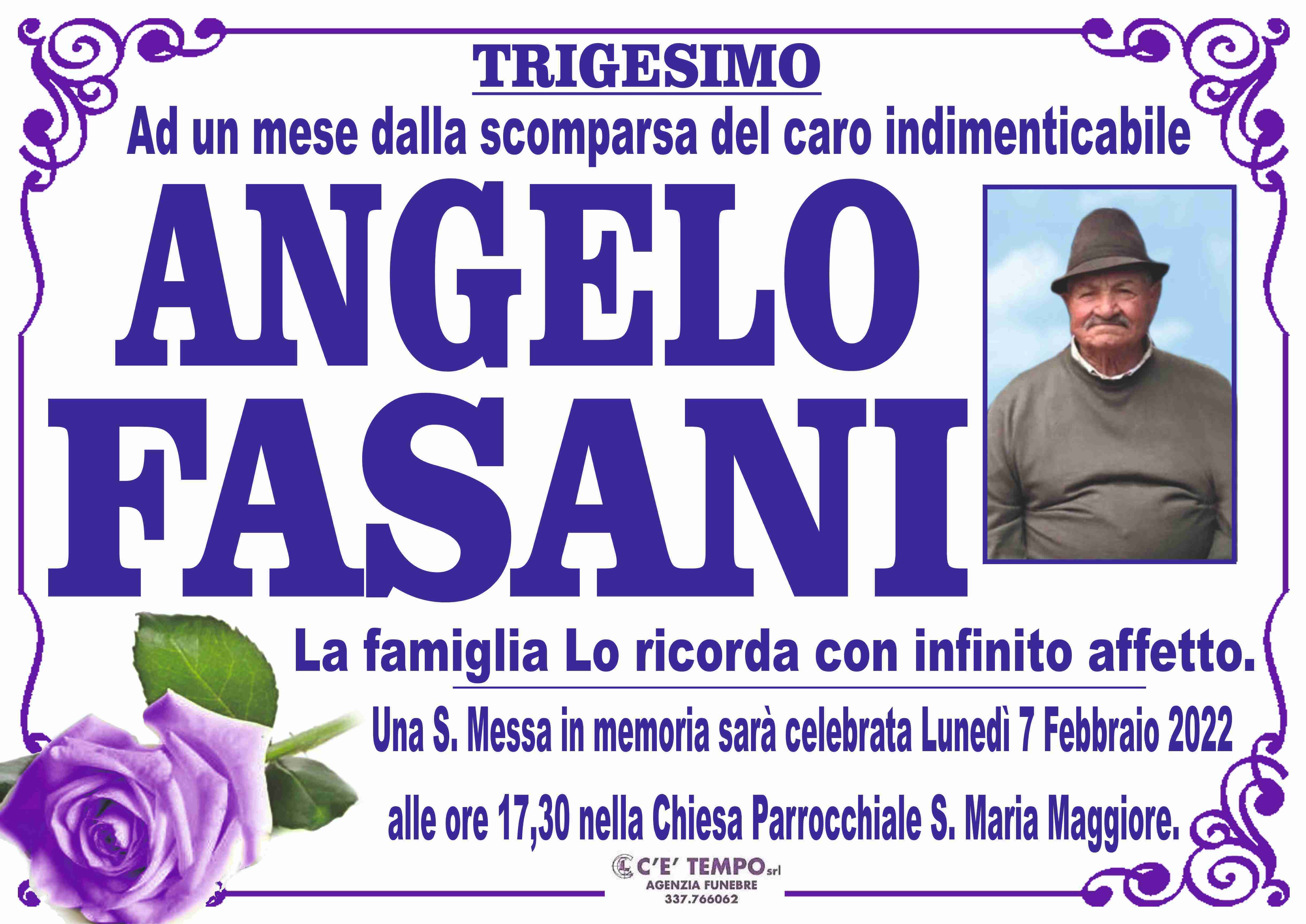 Angelo Fasani