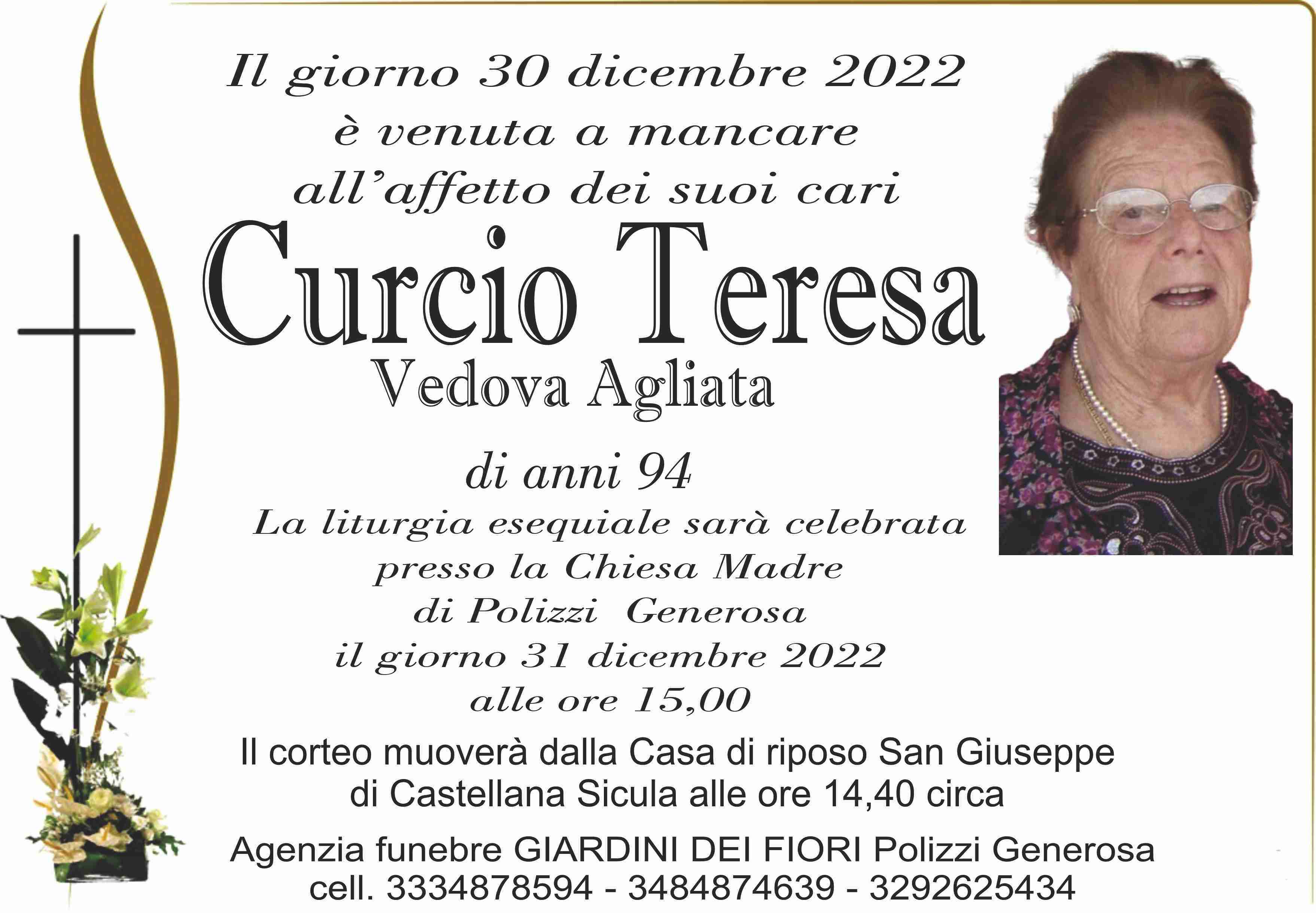 Teresa Curcio