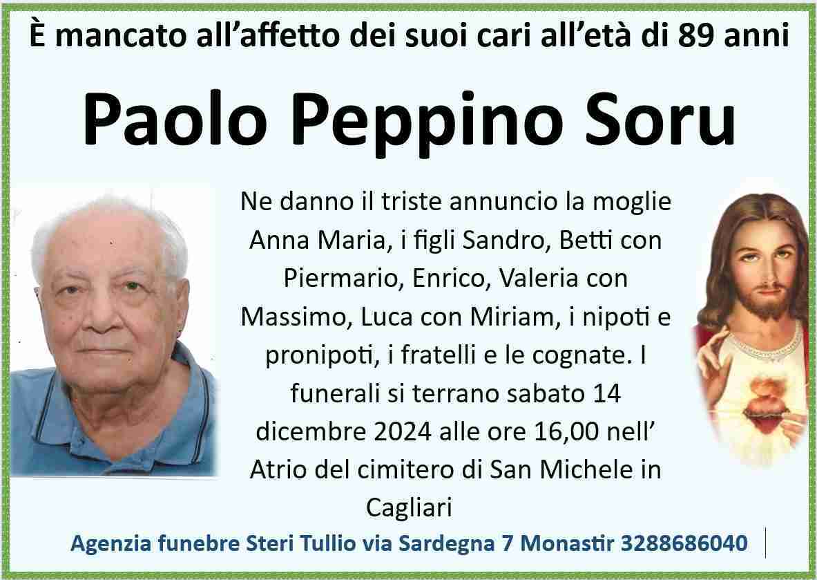 Paolo Peppino Soru