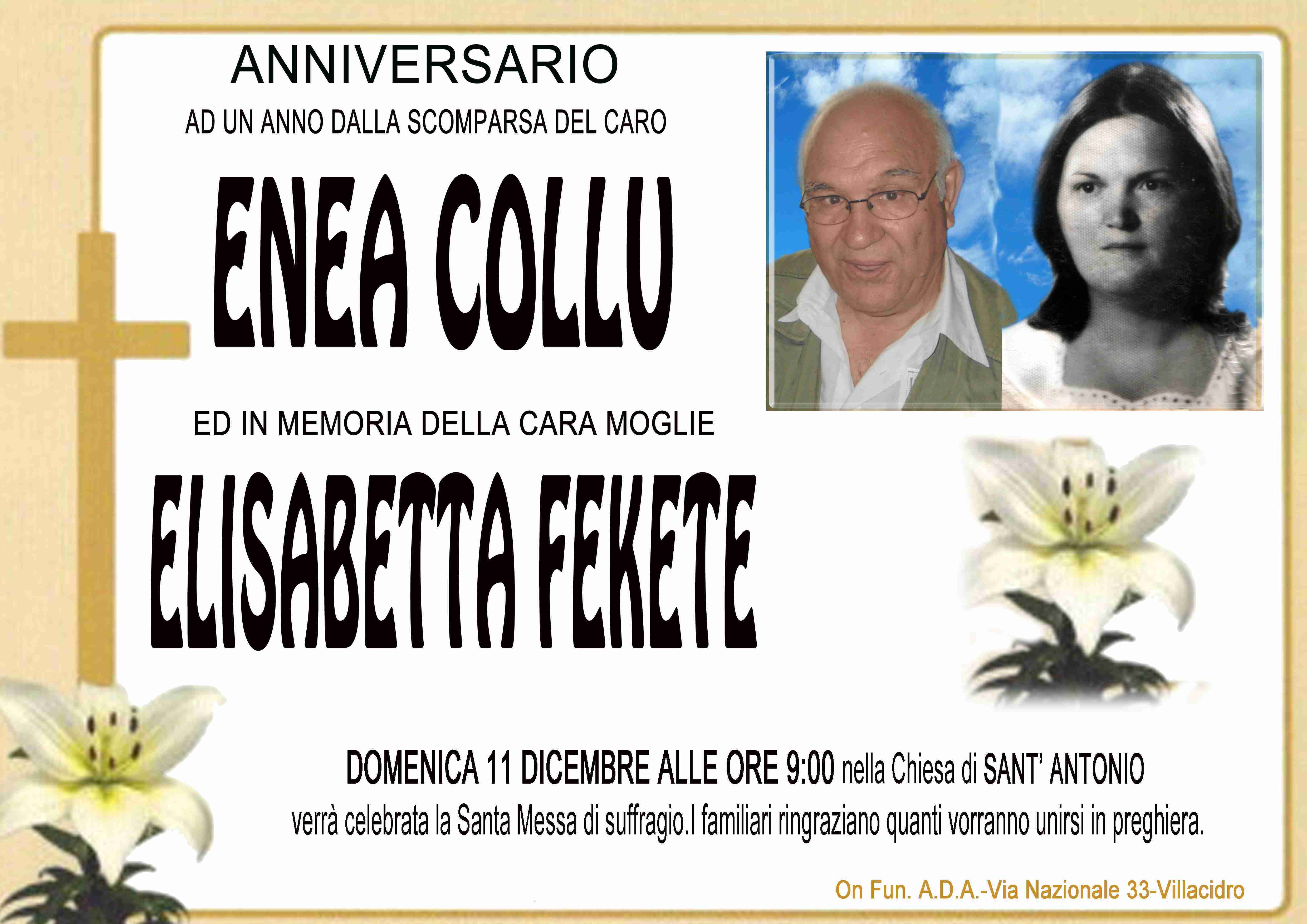 Enea Collu e Elisabetta Fekete