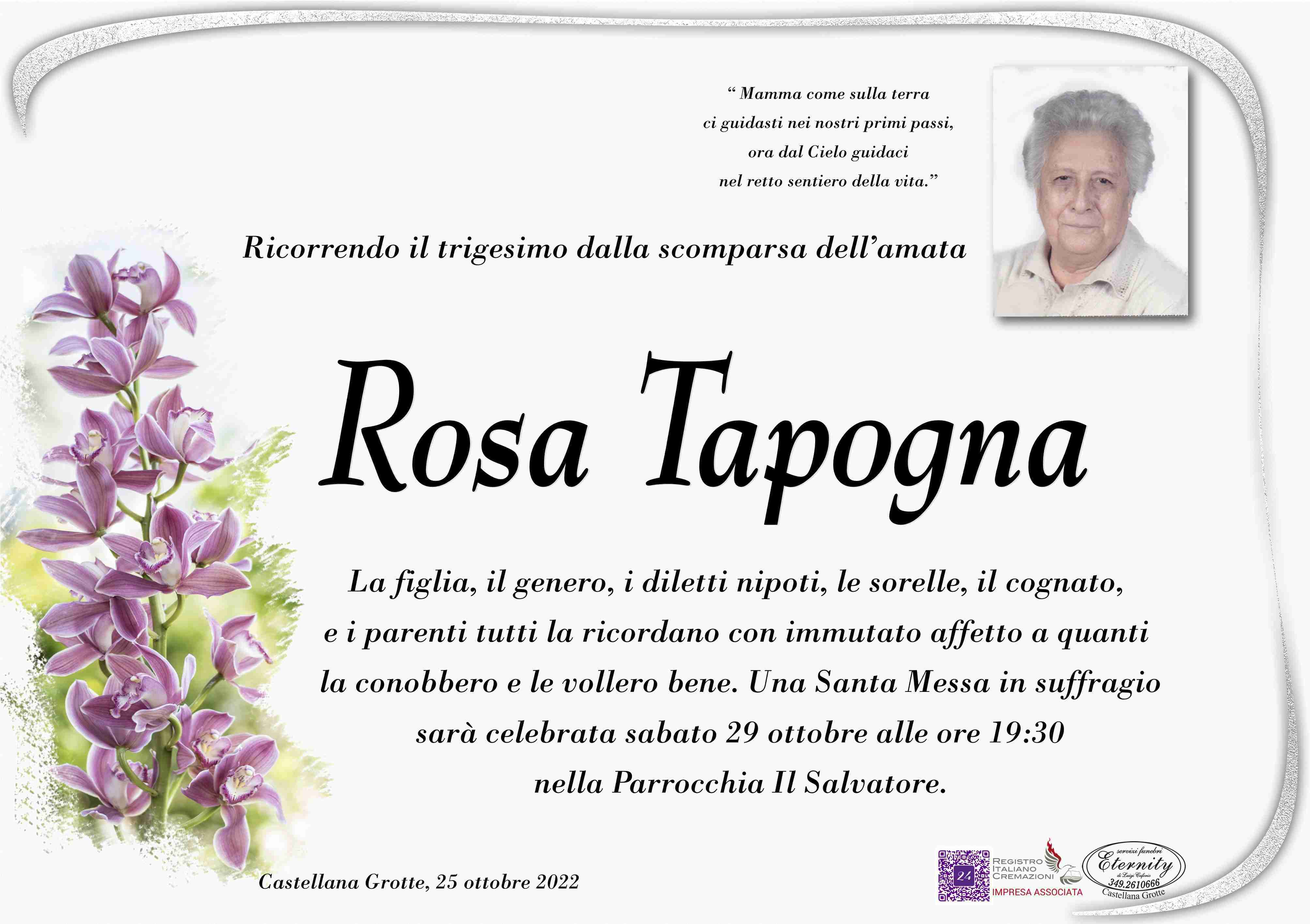 Rosa Tapogna