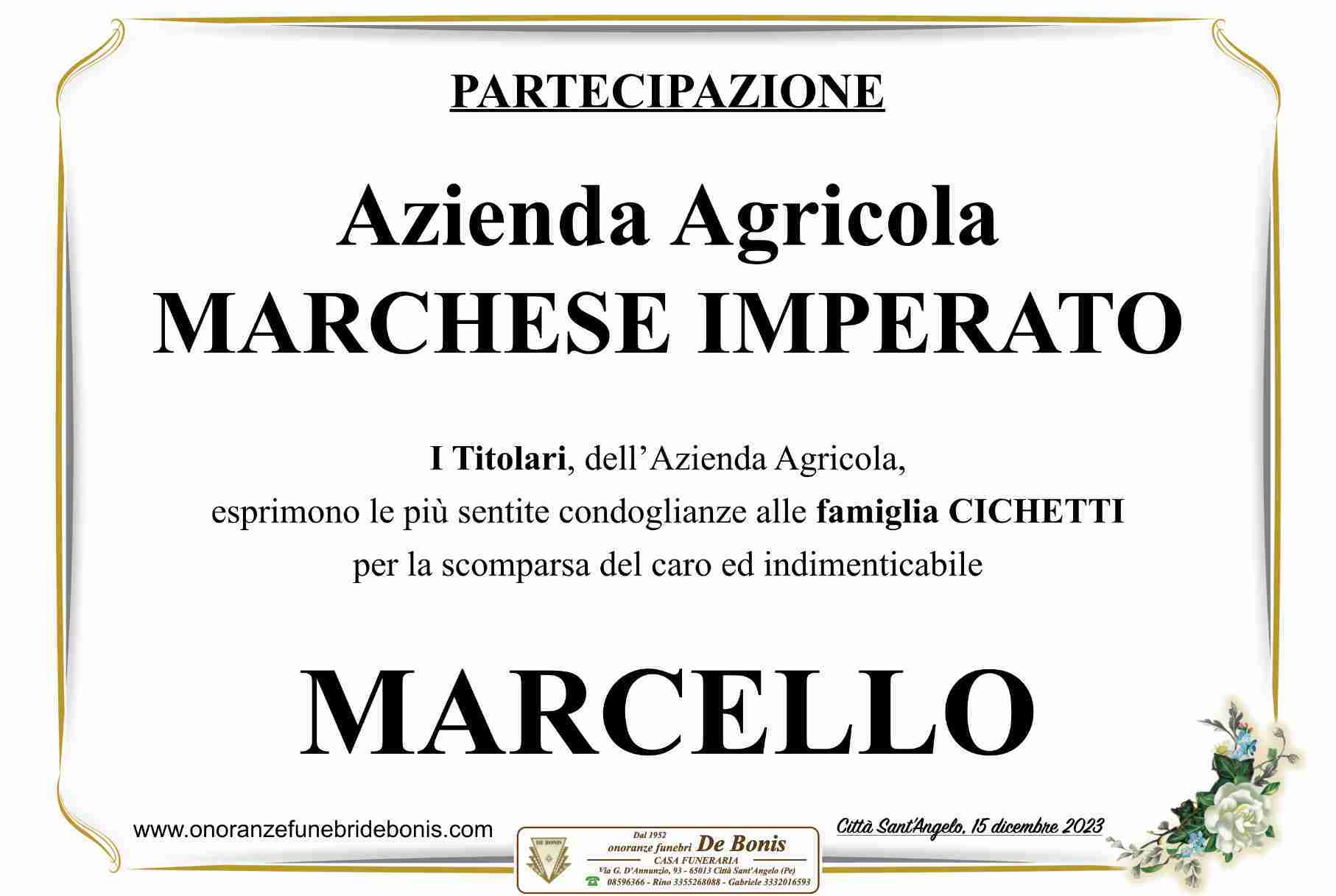 Marcello Cichetti